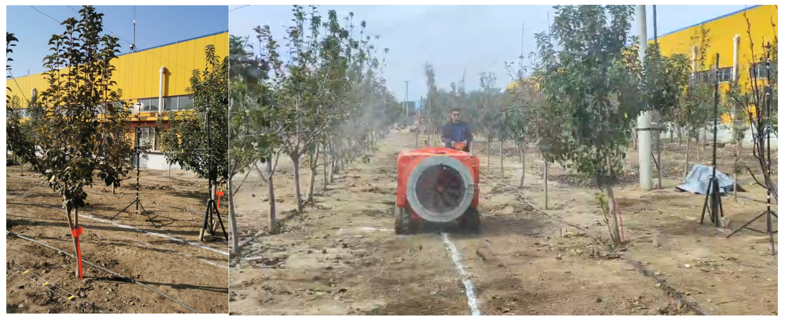 Agronomy 15 00095 g011