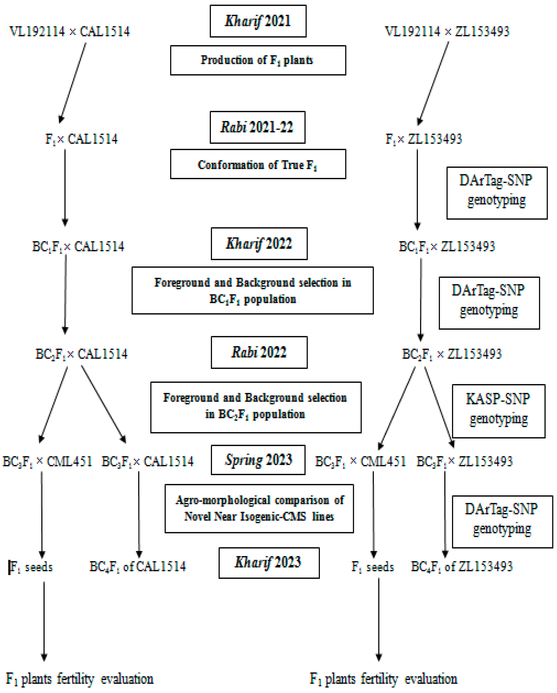 Agronomy 15 00098 g001