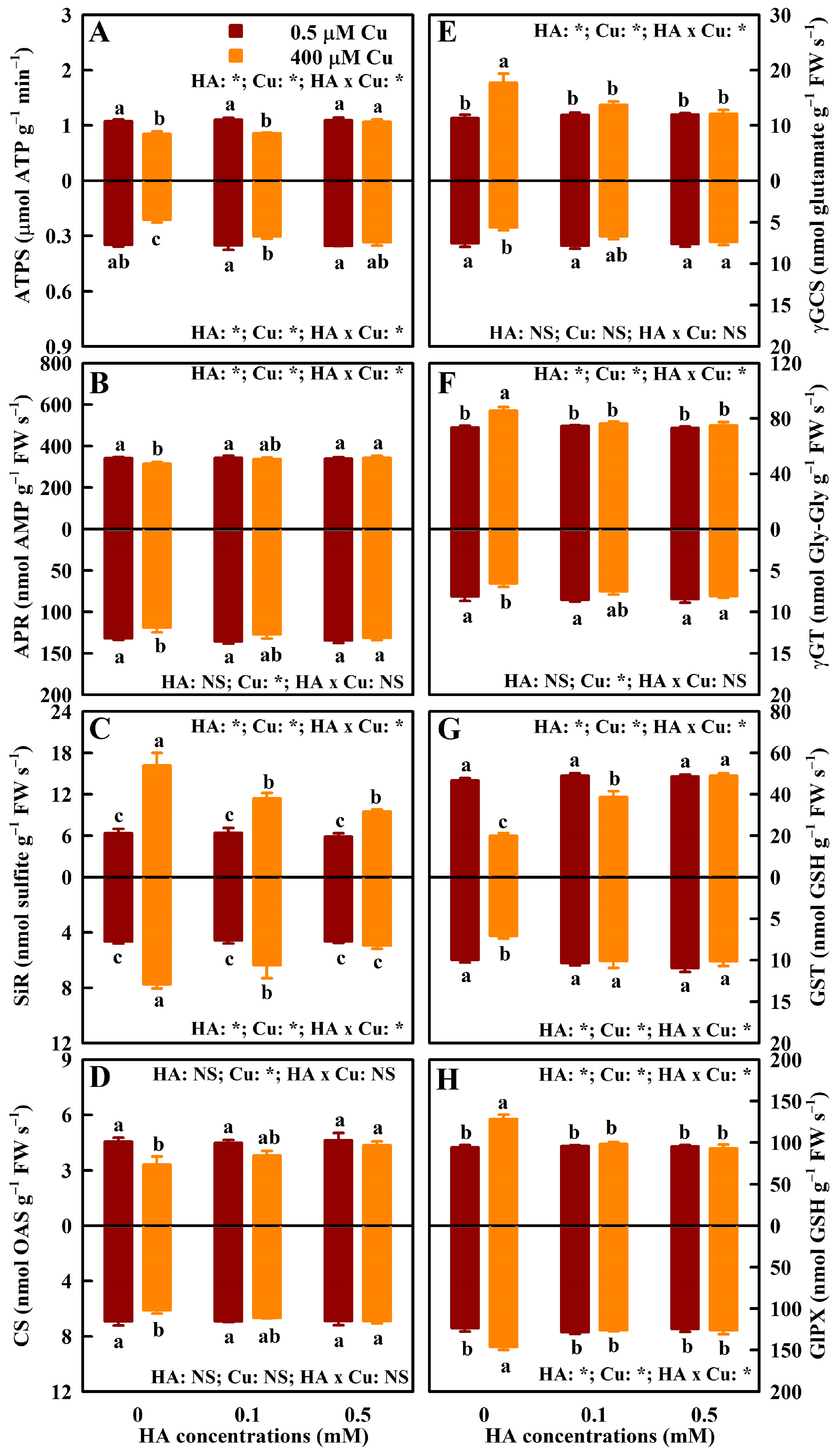 Agronomy 15 00099 g004