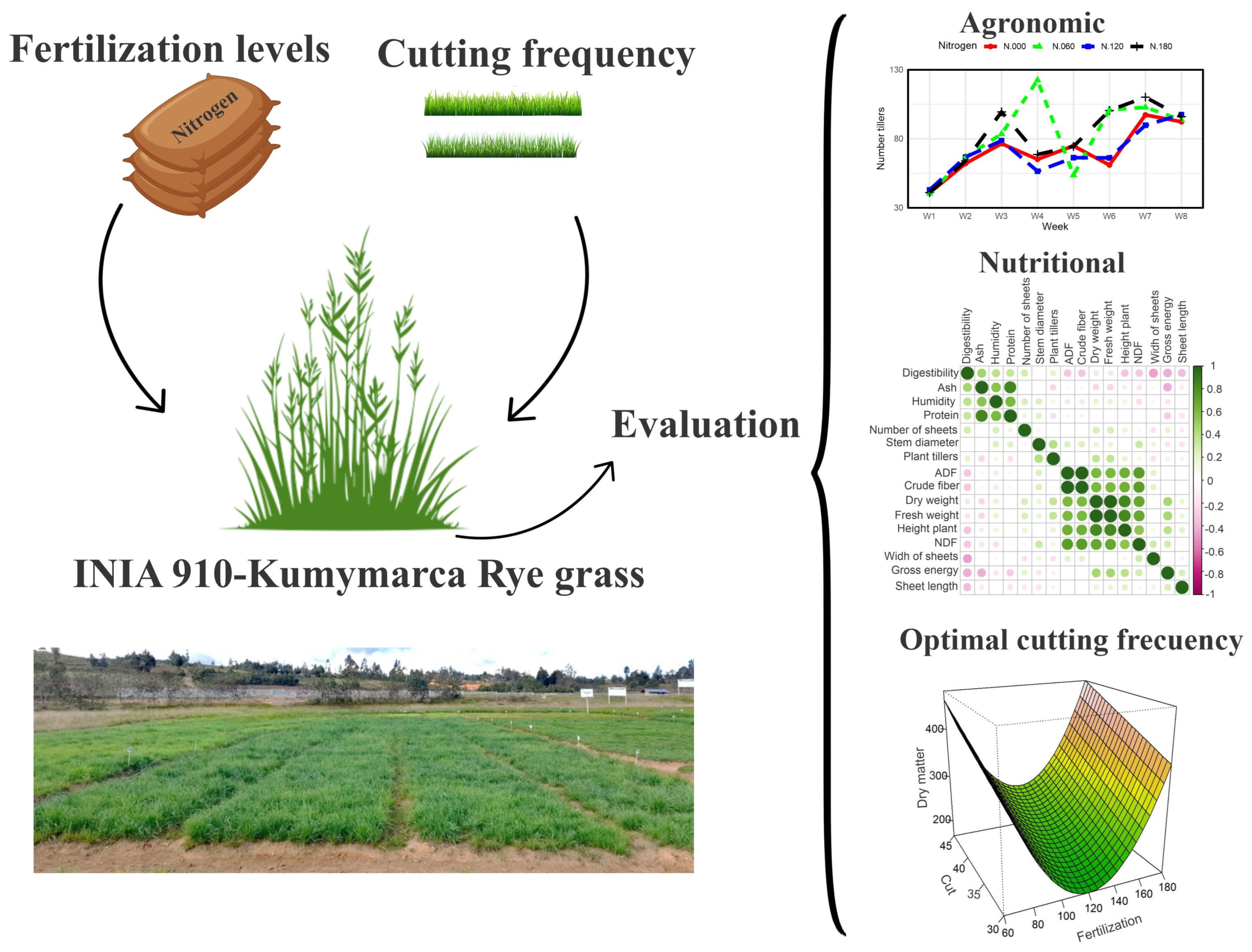 Agronomy 15 00100 g002 Agronomy 15 00100 g002