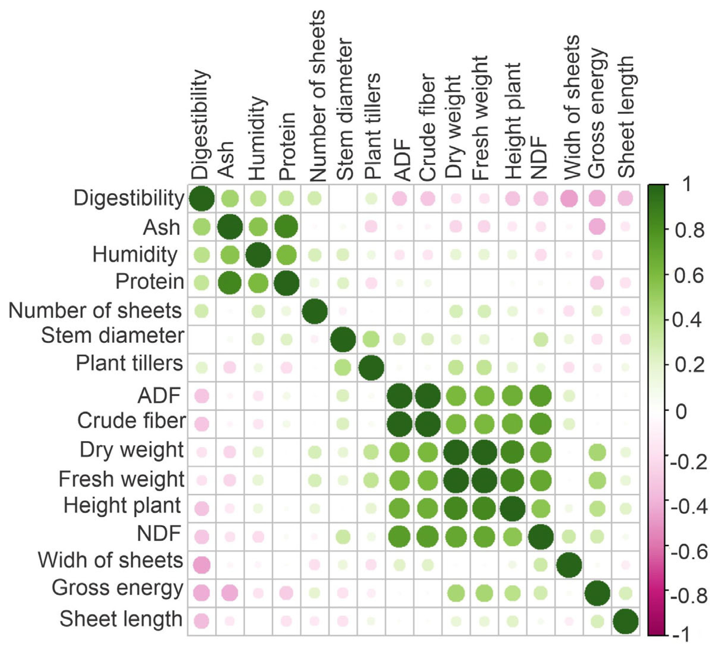 Agronomy 15 00100 g007 Agronomy 15 00100 g007