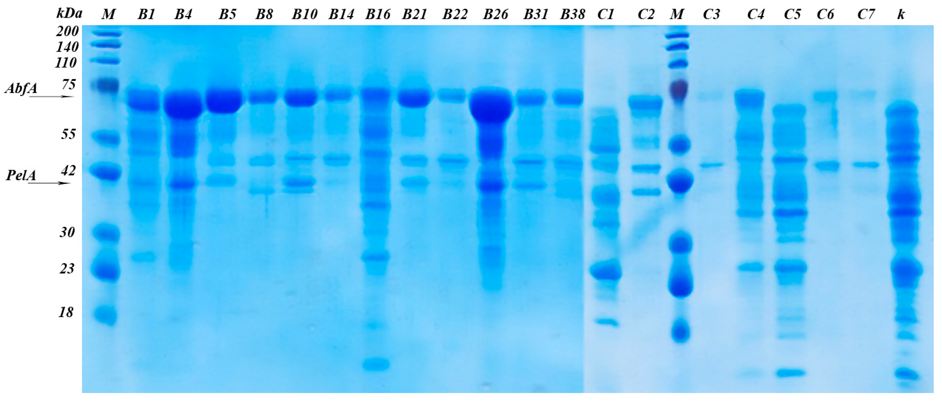 Agronomy 15 00101 g002