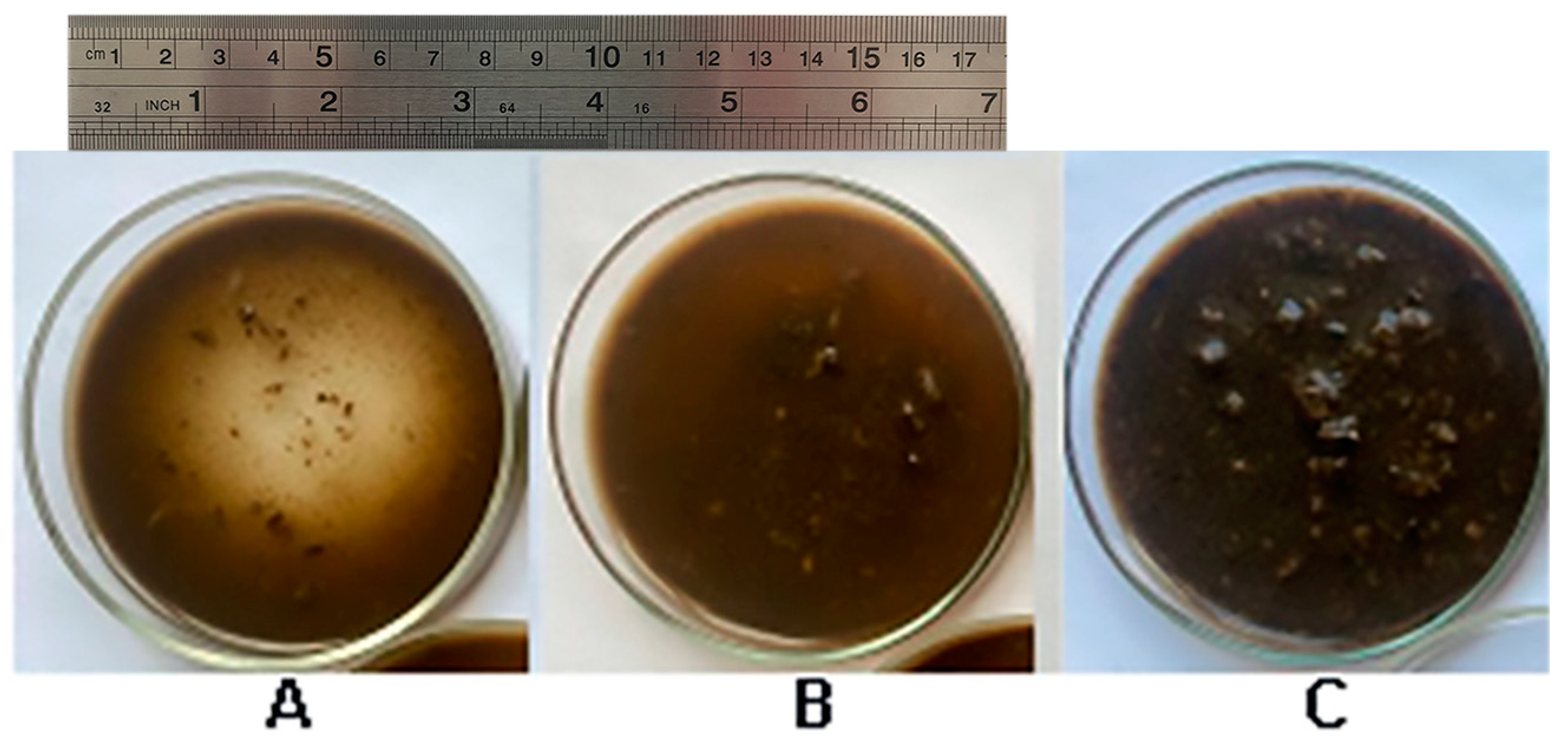 Agronomy 15 00101 g006