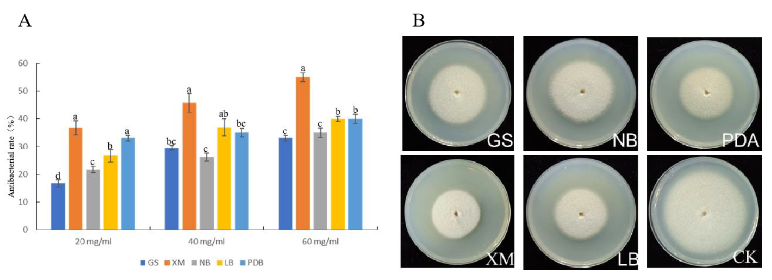 Agronomy 15 00102 g003