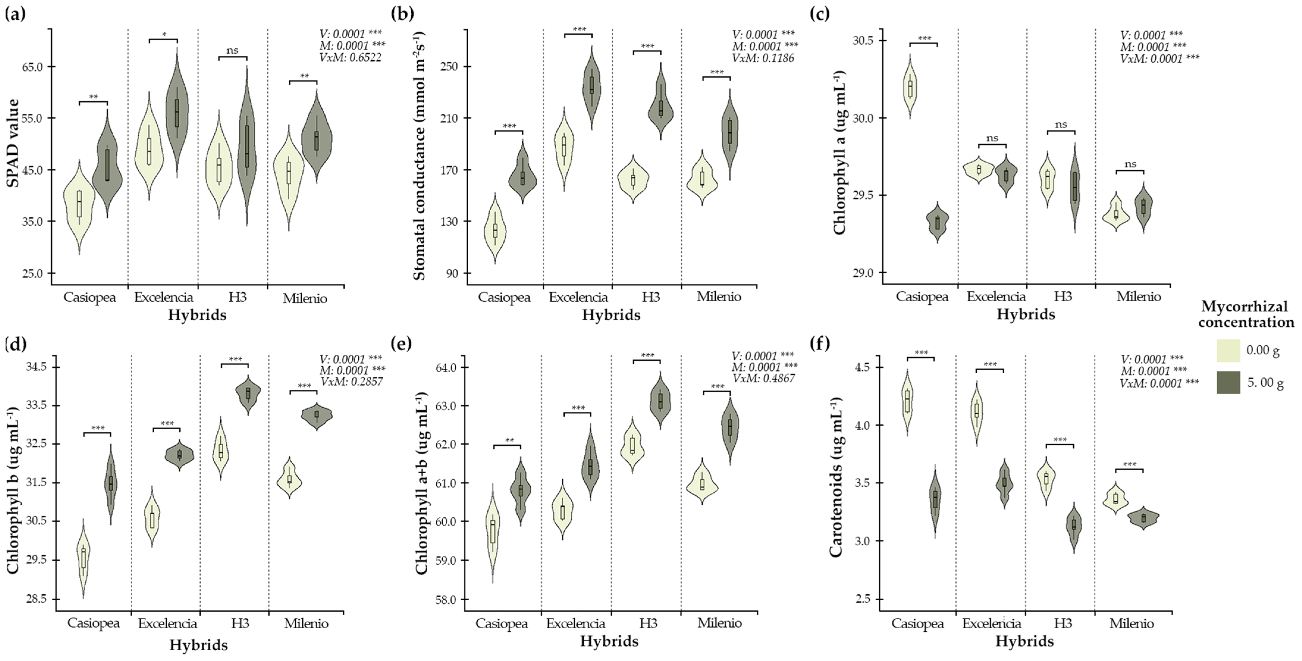 Agronomy 15 00108 g005