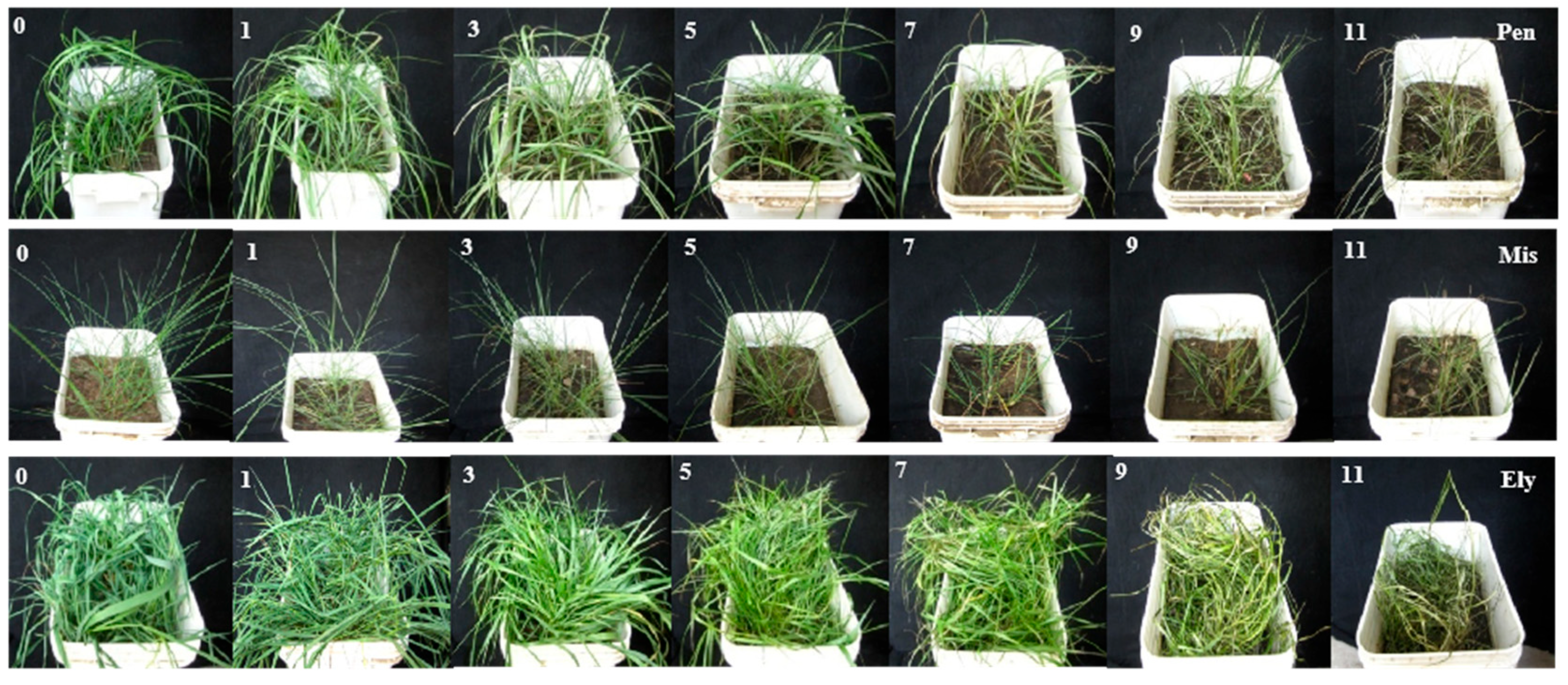 Agronomy 15 00109 g002