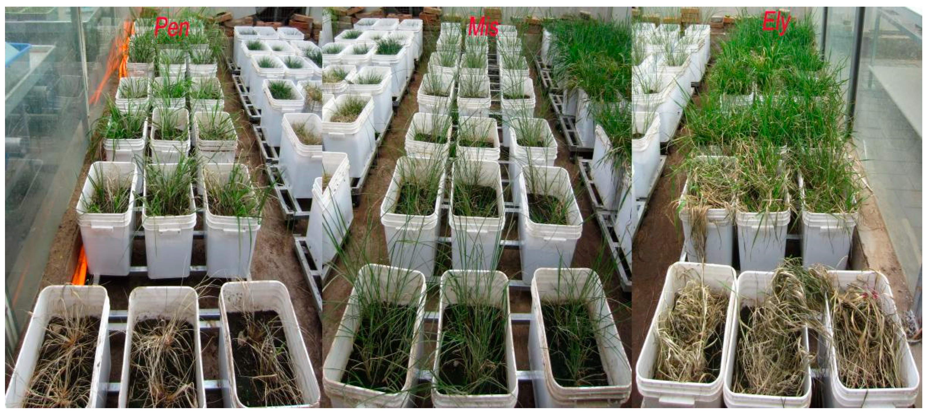 Agronomy 15 00109 g003