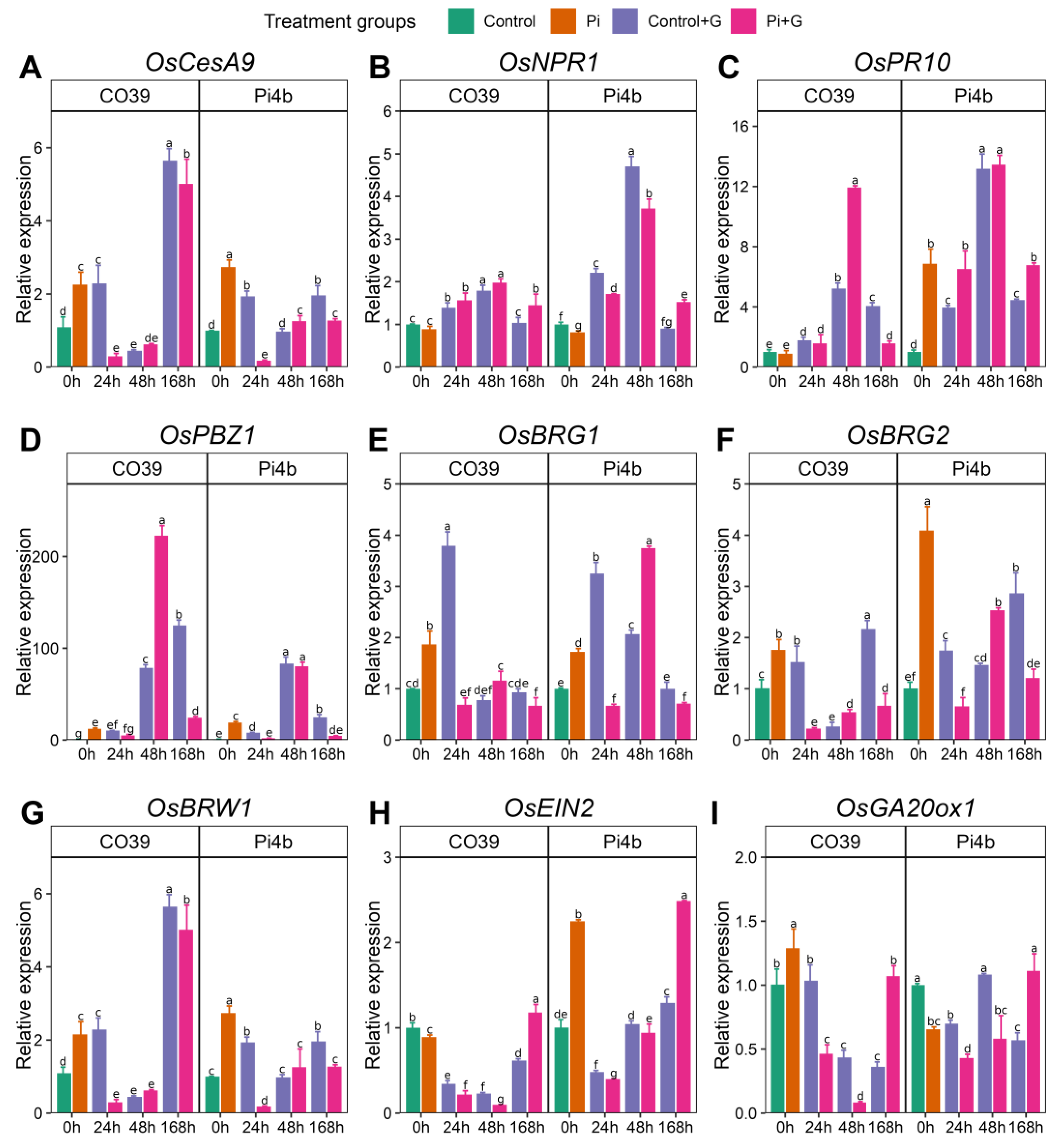Agronomy 15 00118 g005