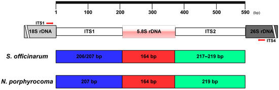 山田 A large-scale curated and filterable dataset for cryo-EM