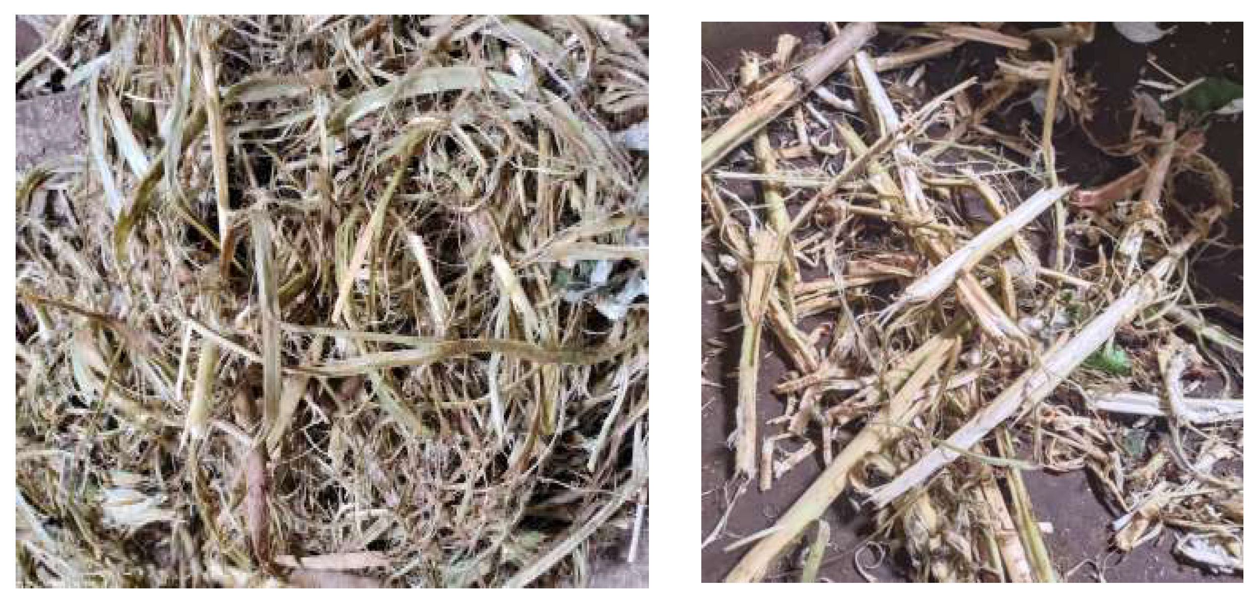 Agronomy 15 00122 g010