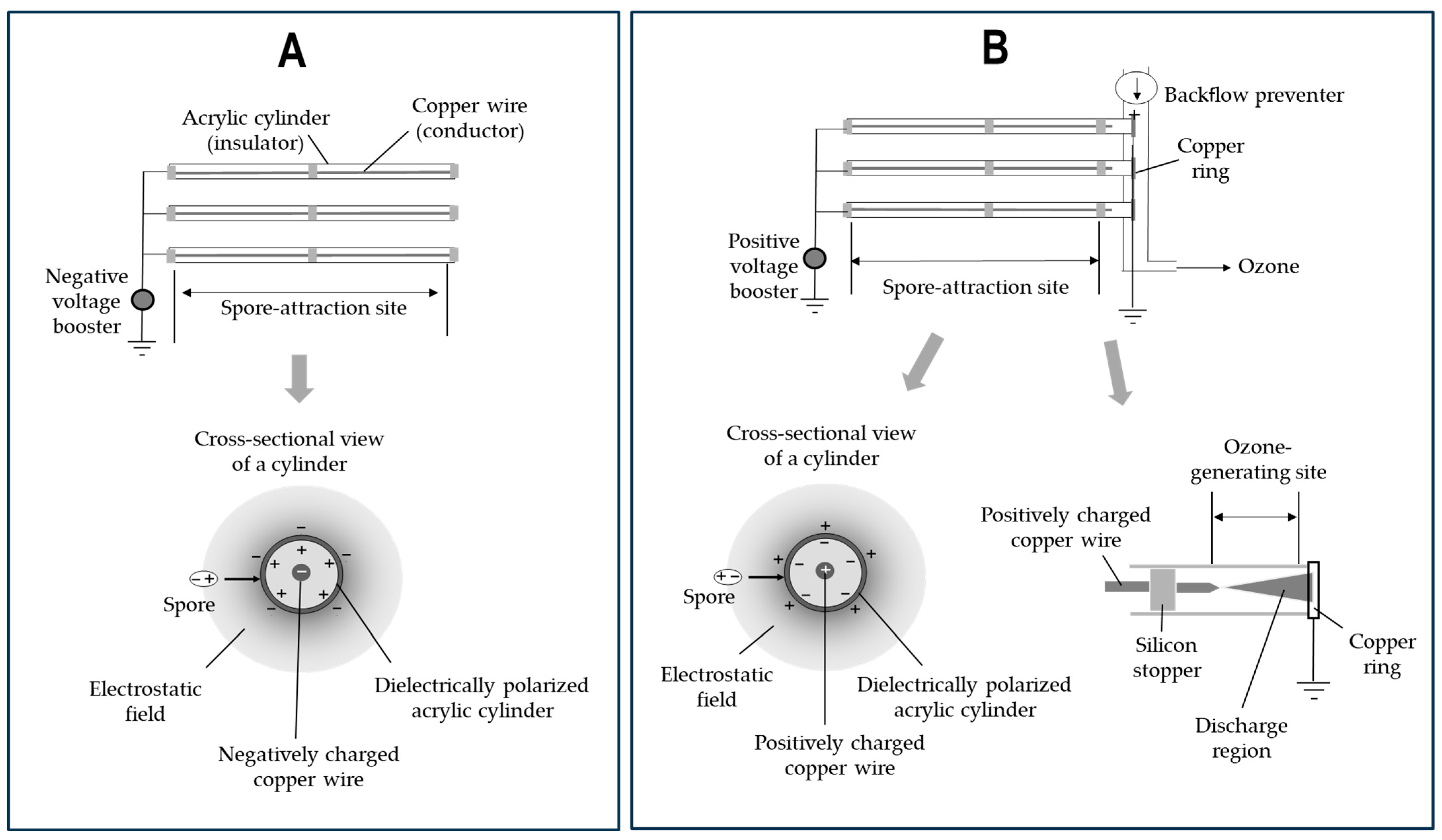 Agronomy 15 00123 g002 Agronomy 15 00123 g002