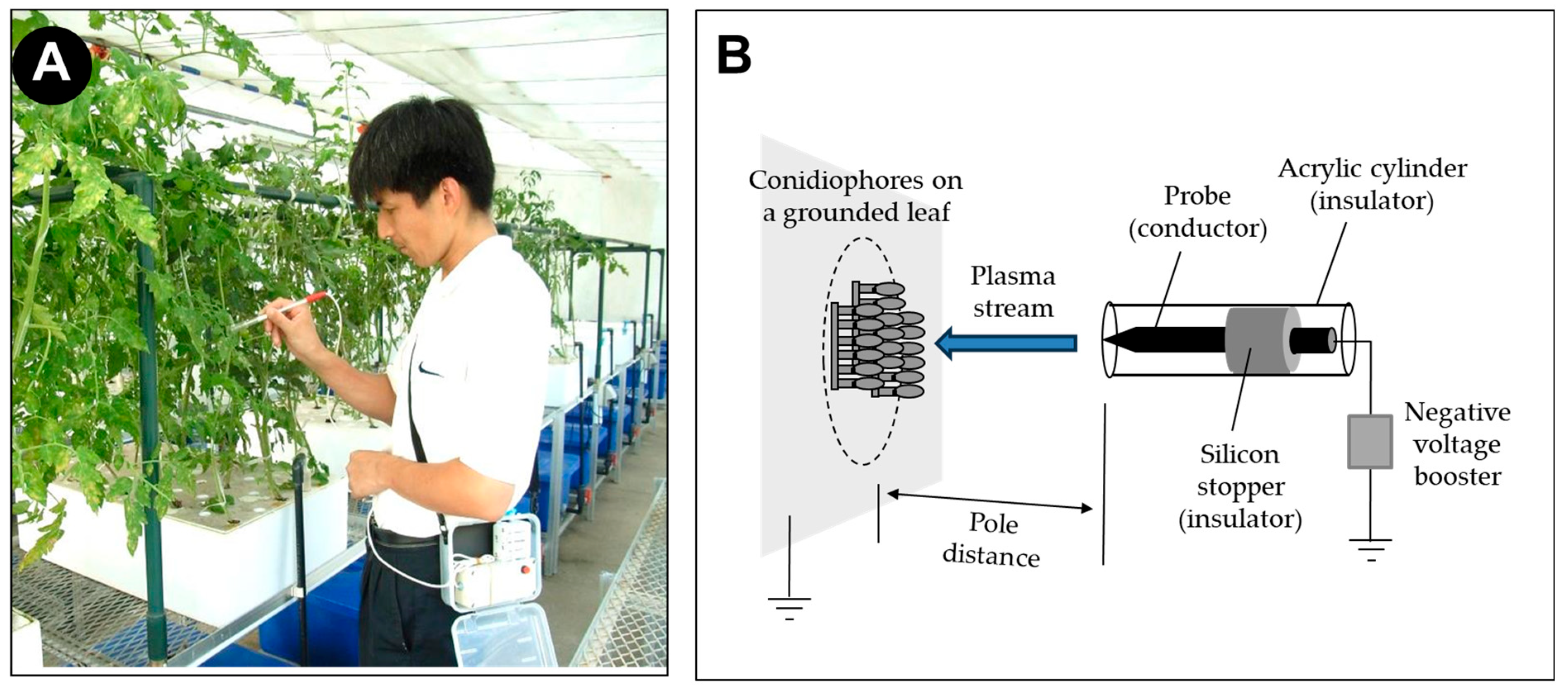 Agronomy 15 00123 g003 Agronomy 15 00123 g003