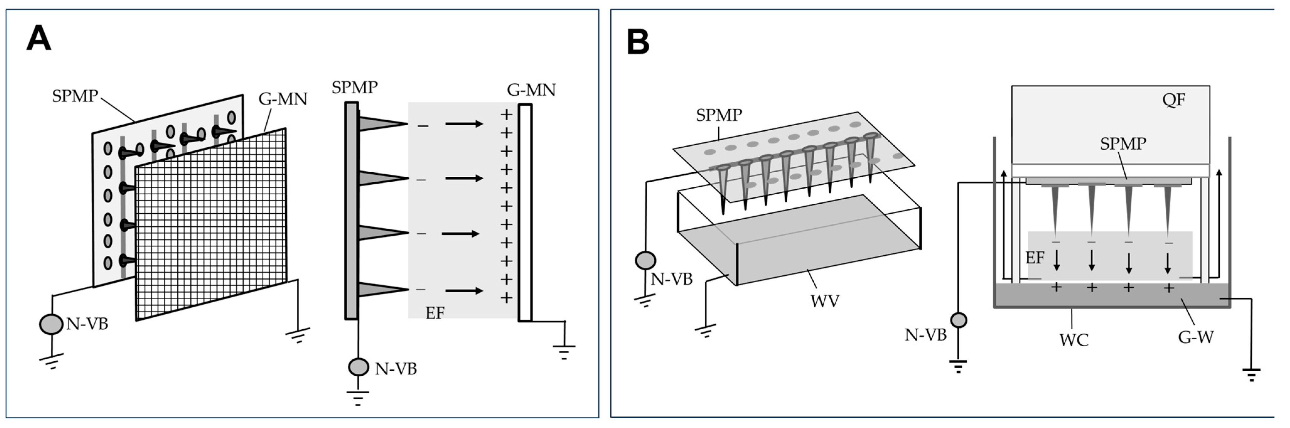 Agronomy 15 00123 g004 Agronomy 15 00123 g004