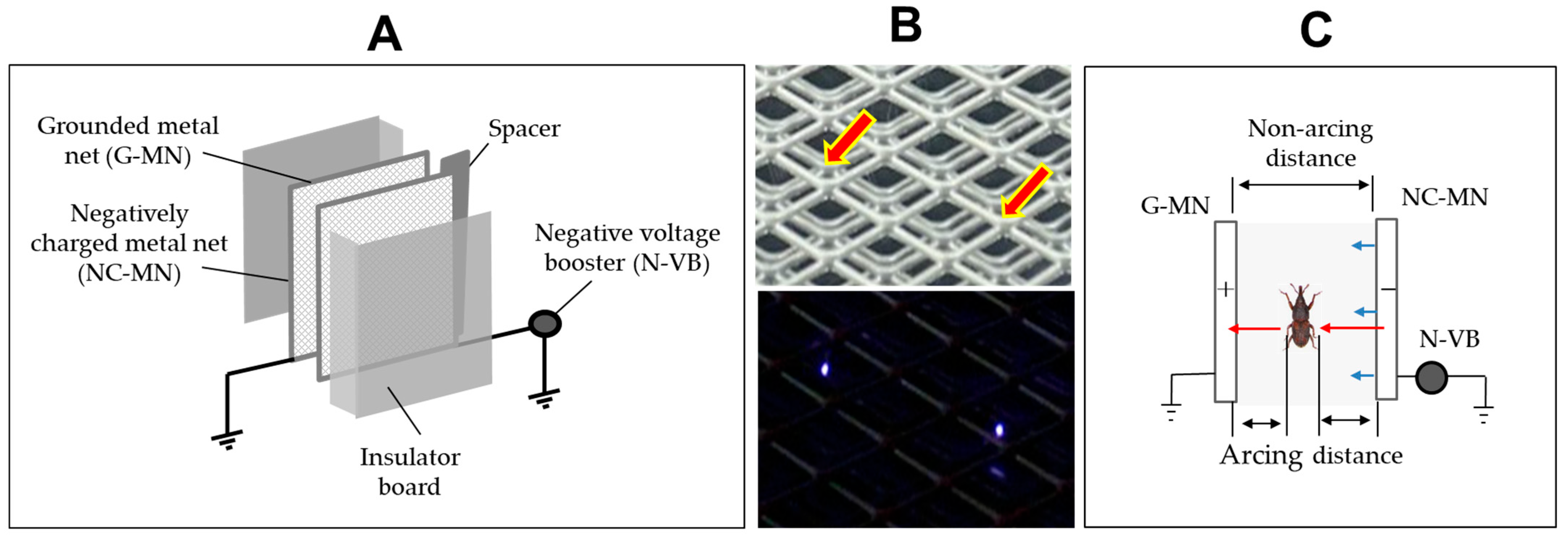 Agronomy 15 00123 g005 Agronomy 15 00123 g005