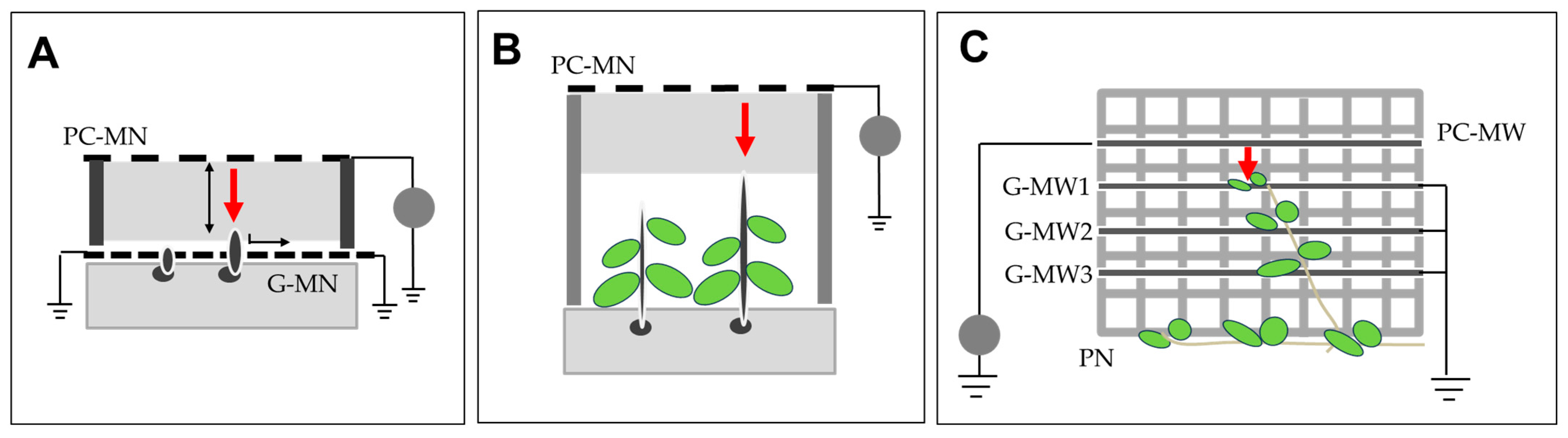 Agronomy 15 00123 g007 Agronomy 15 00123 g007