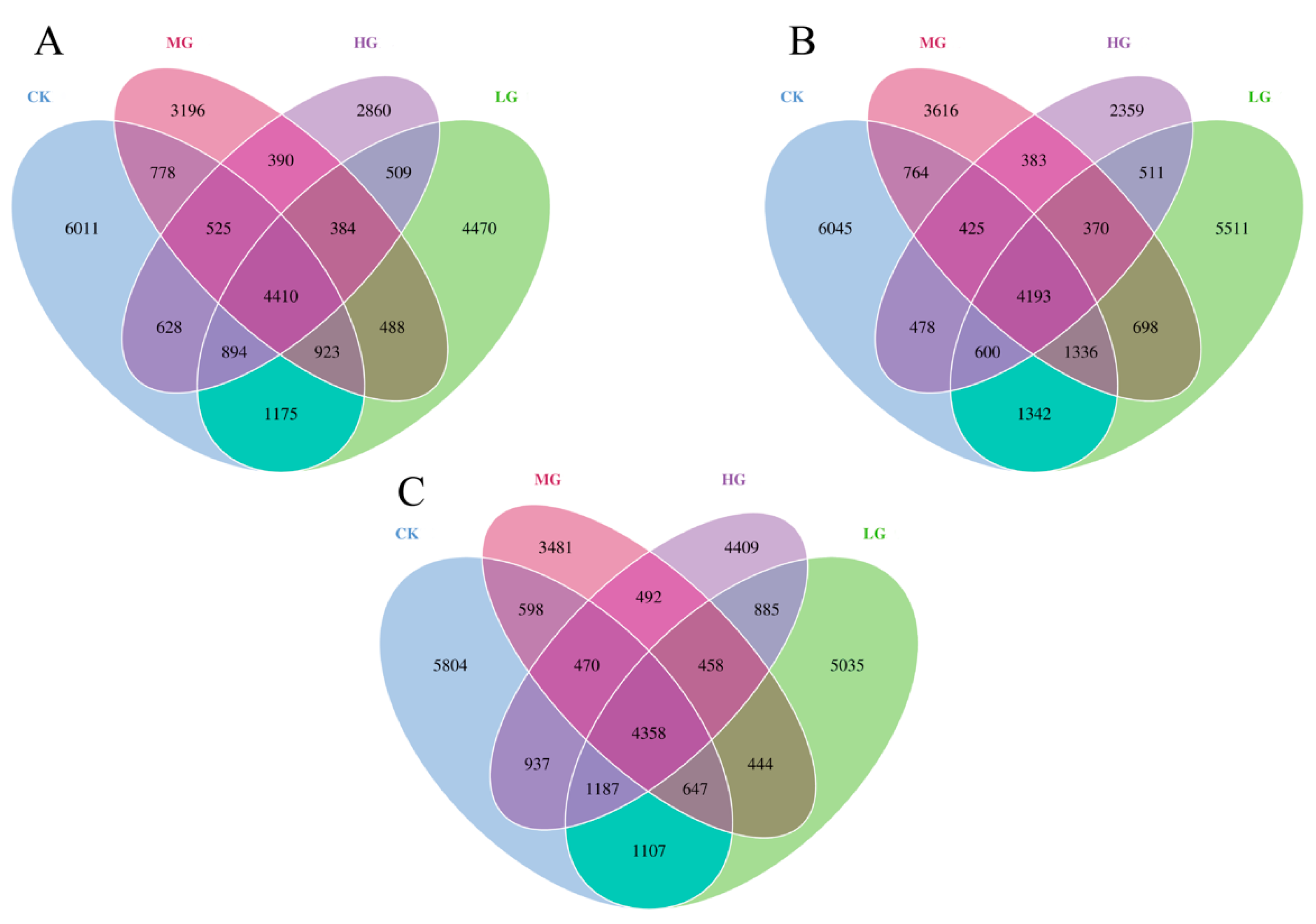 Agronomy 15 00124 g002
