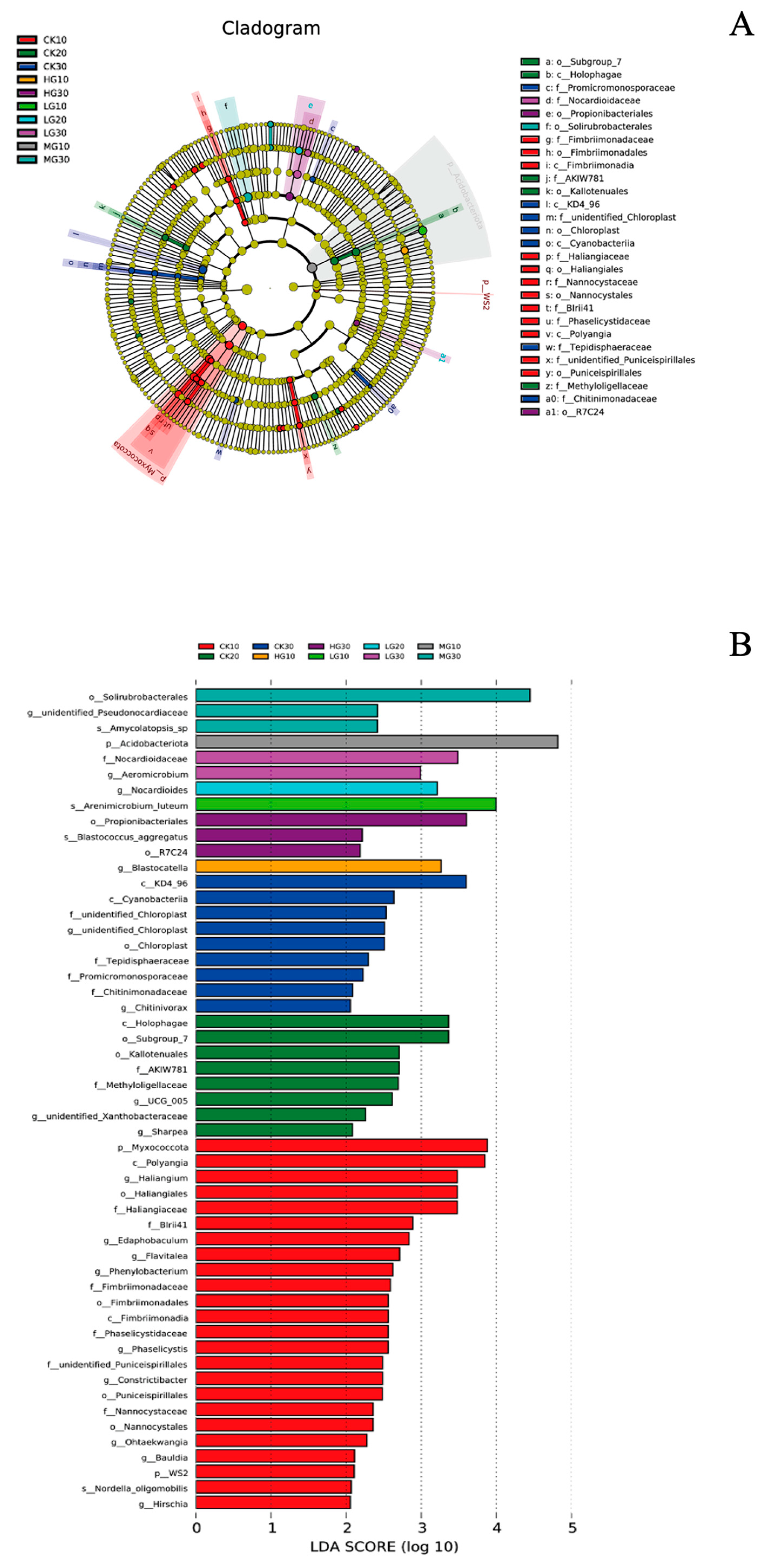 Agronomy 15 00124 g006