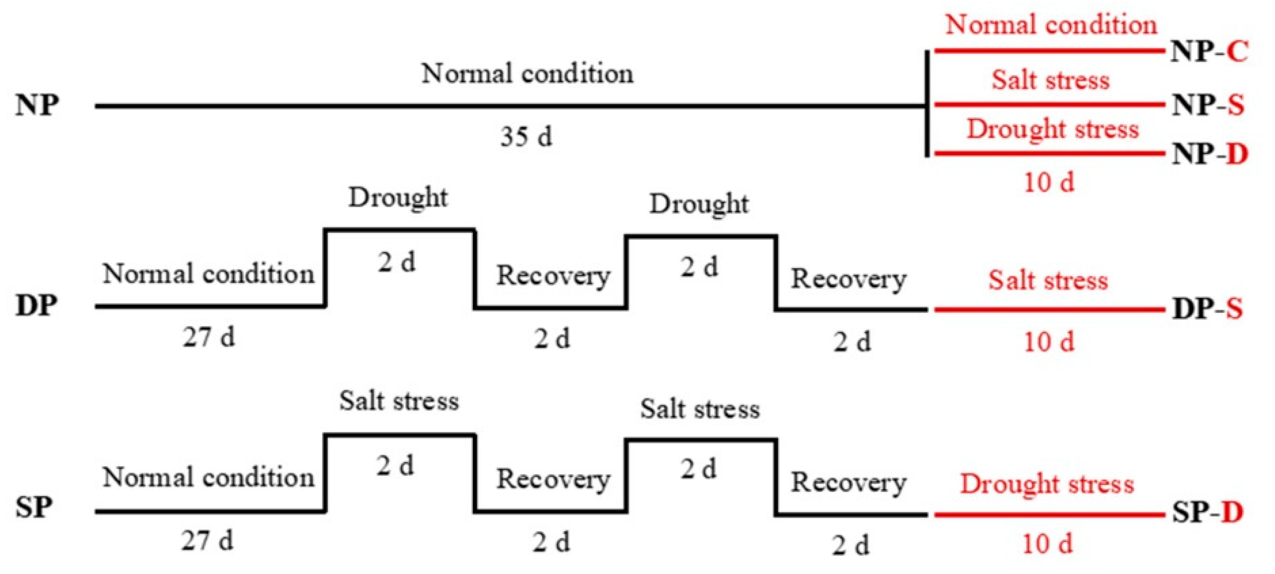 Agronomy 15 00126 g001