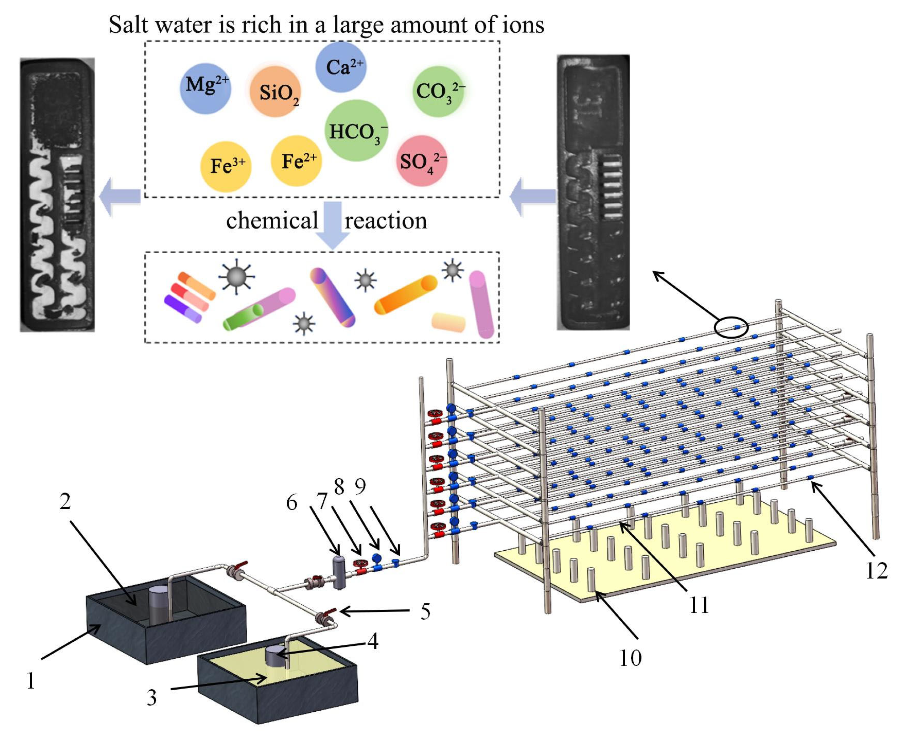 Agronomy 15 00127 g002