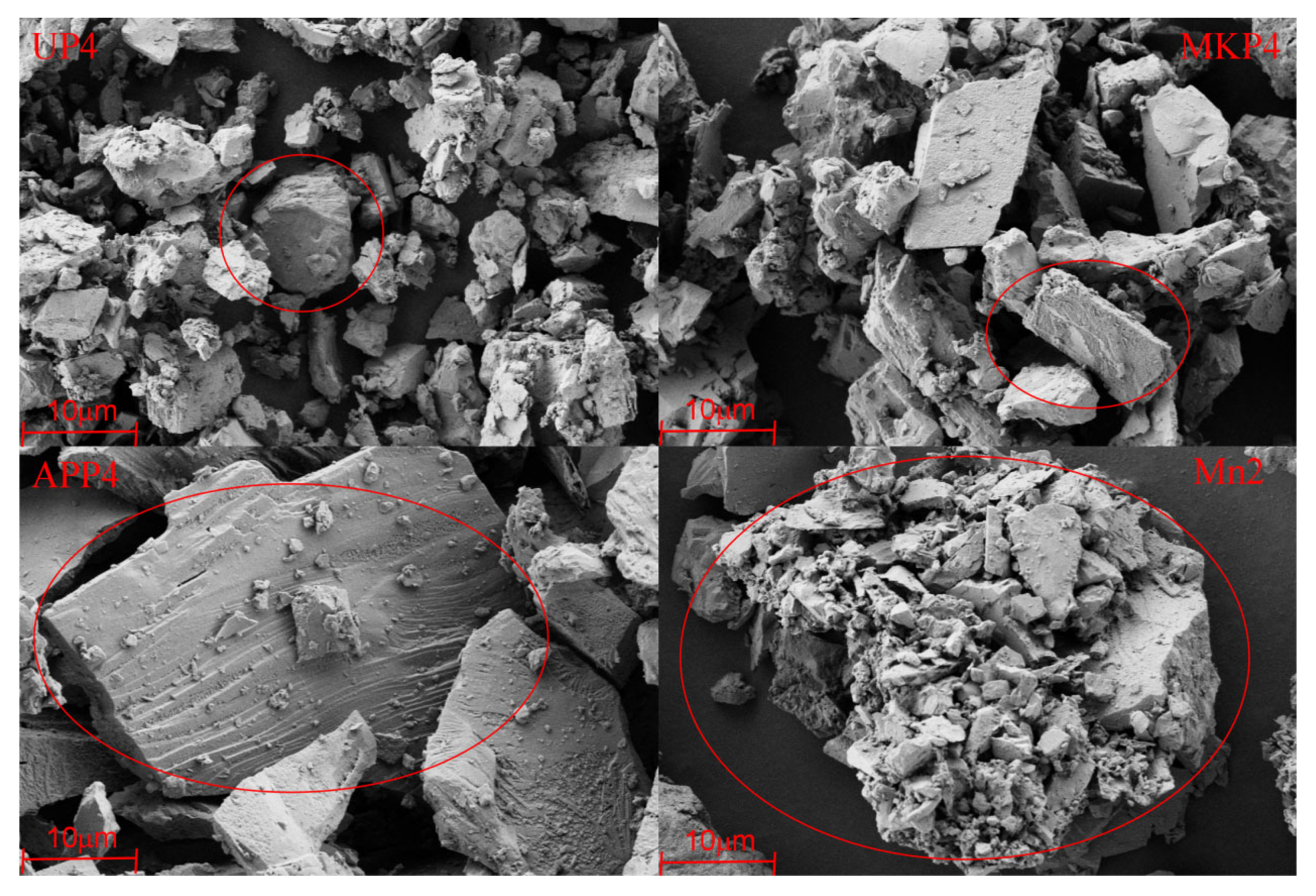 Agronomy 15 00127 g012