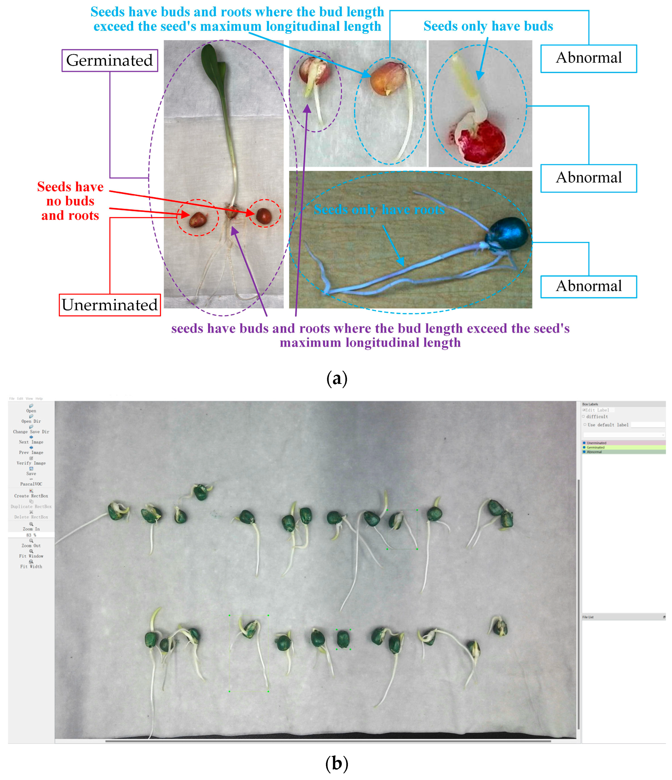 Agronomy 15 00128 g002