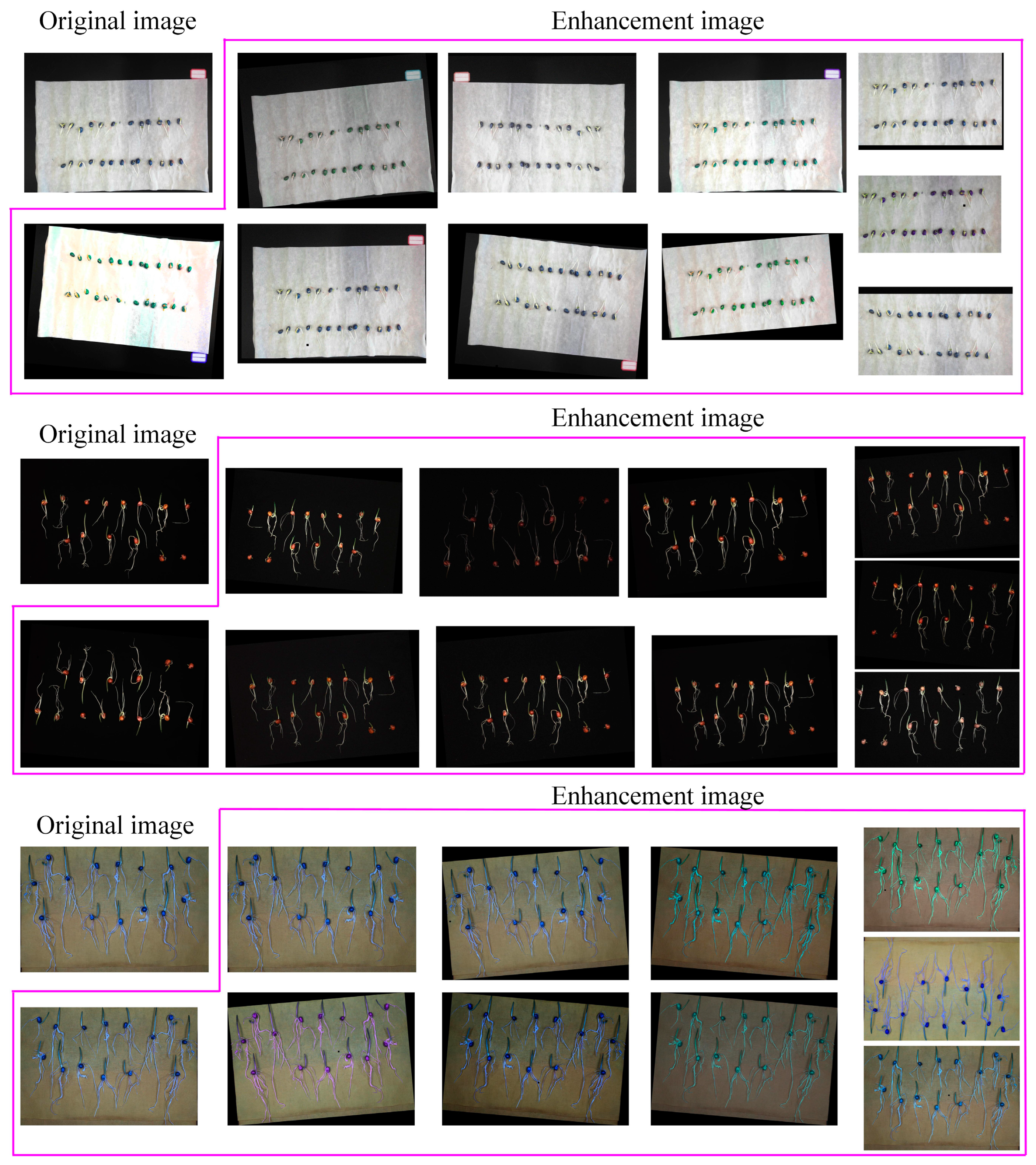 Agronomy 15 00128 g003