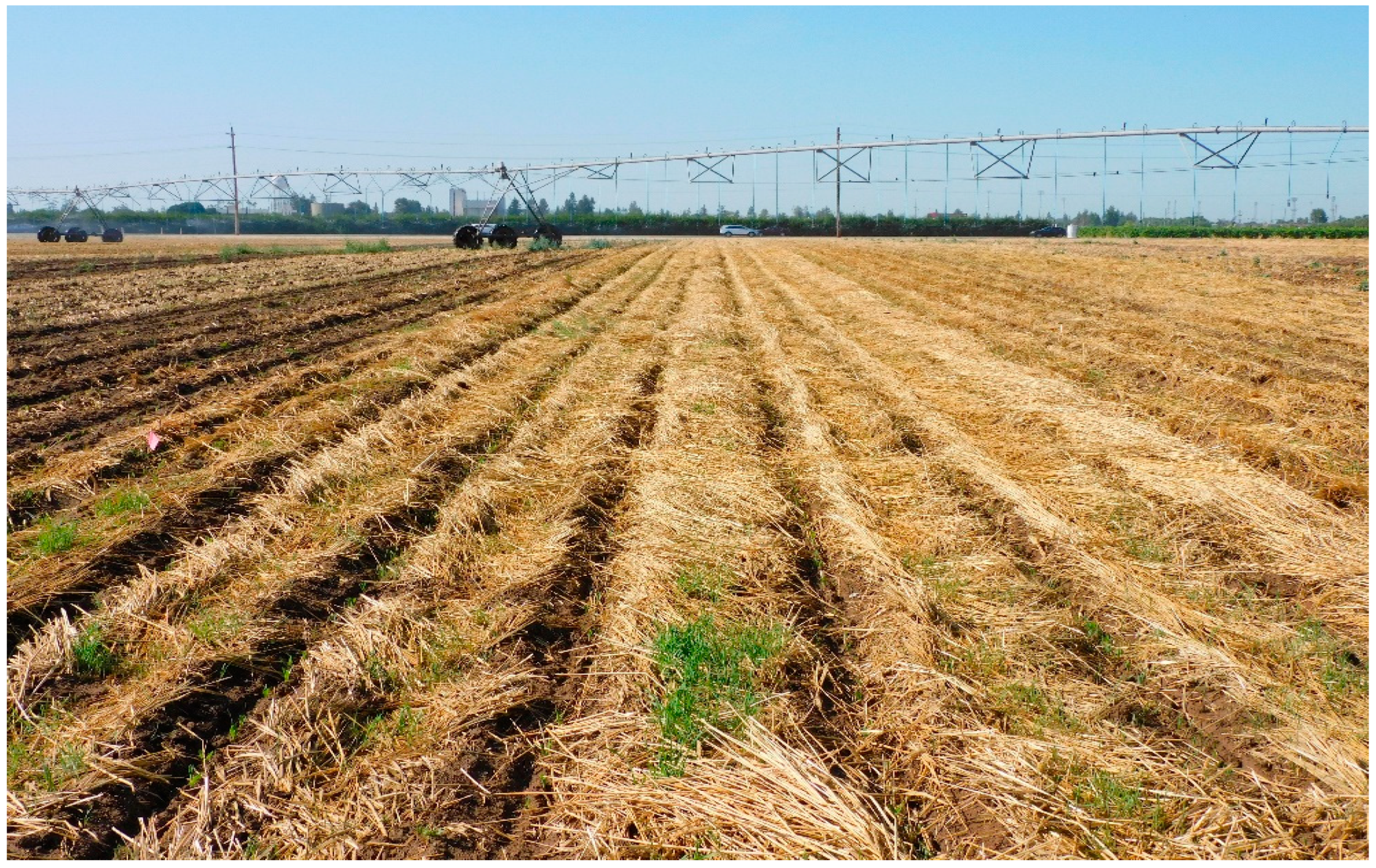 Agronomy 15 00132 g005