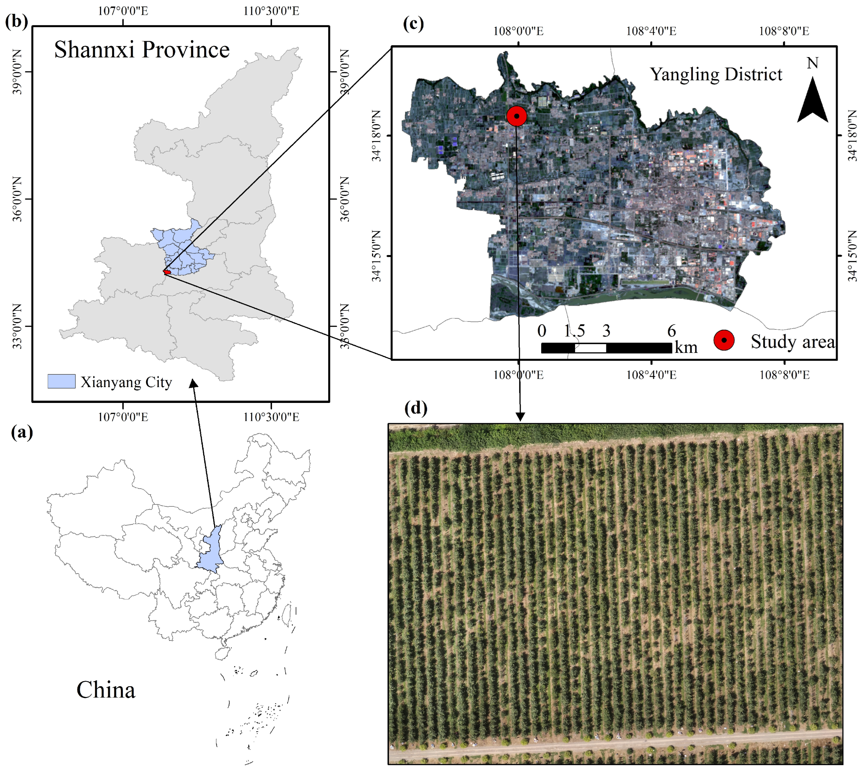Agronomy 15 00140 g001