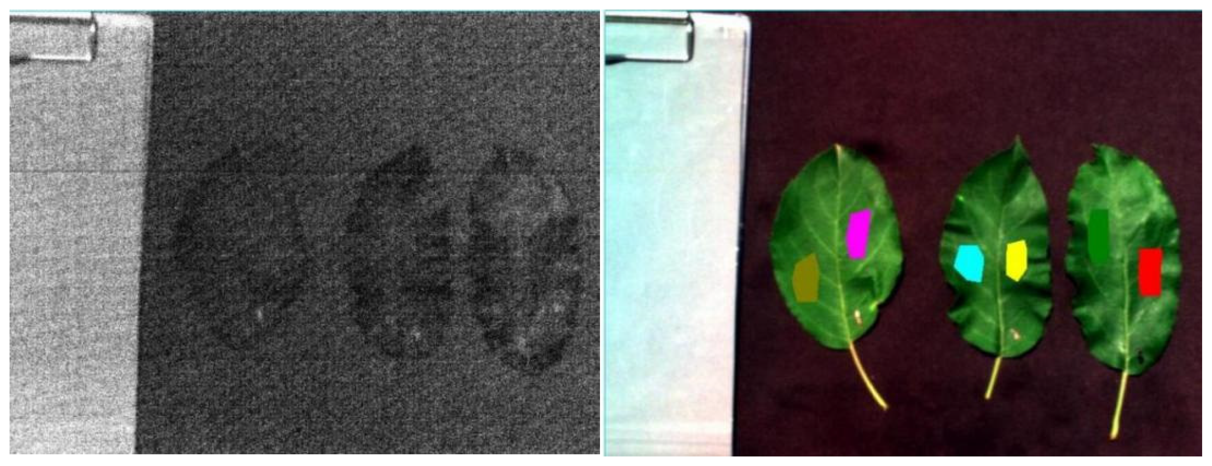 Agronomy 15 00140 g003