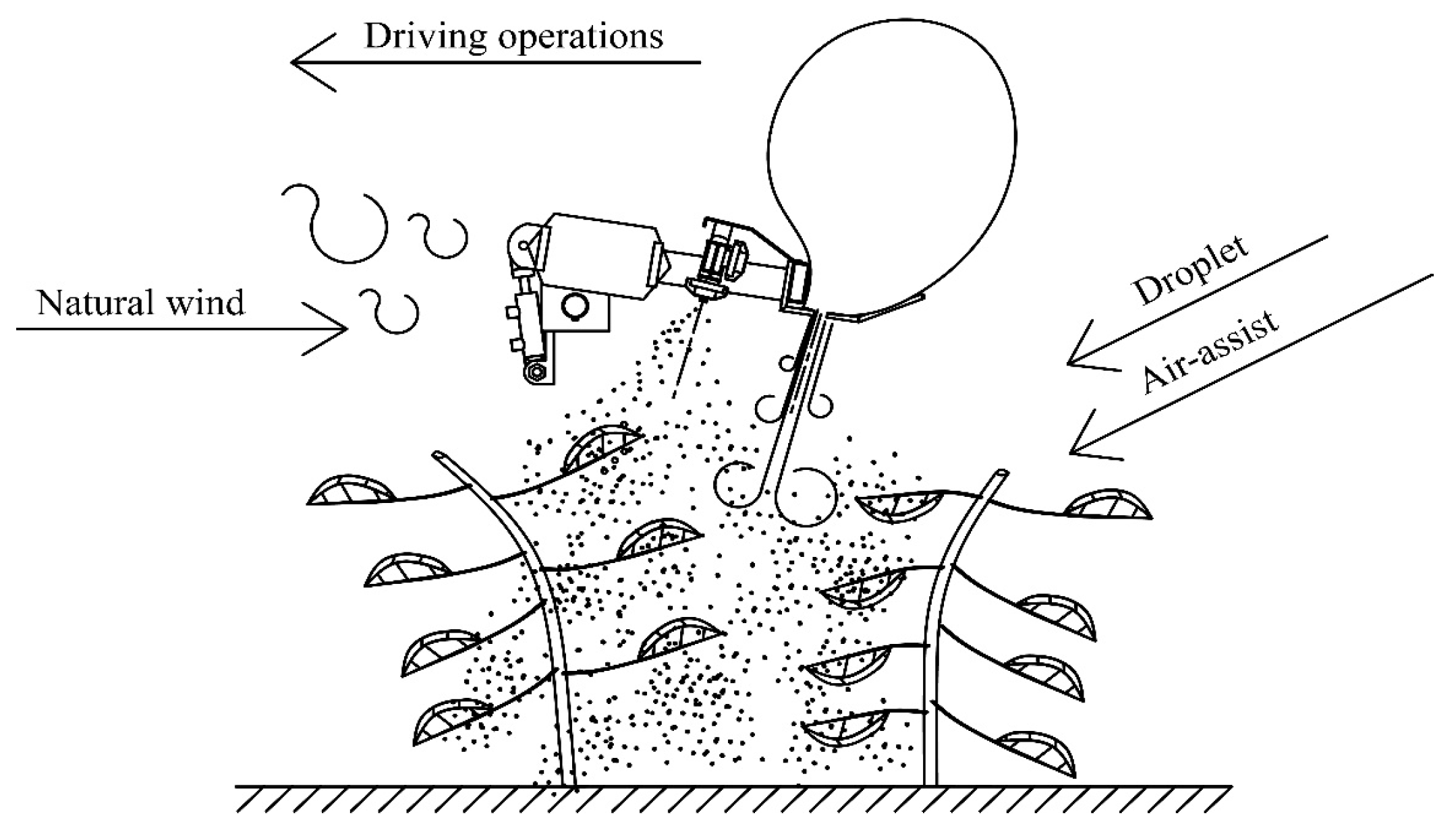 Agronomy 15 00141 g003