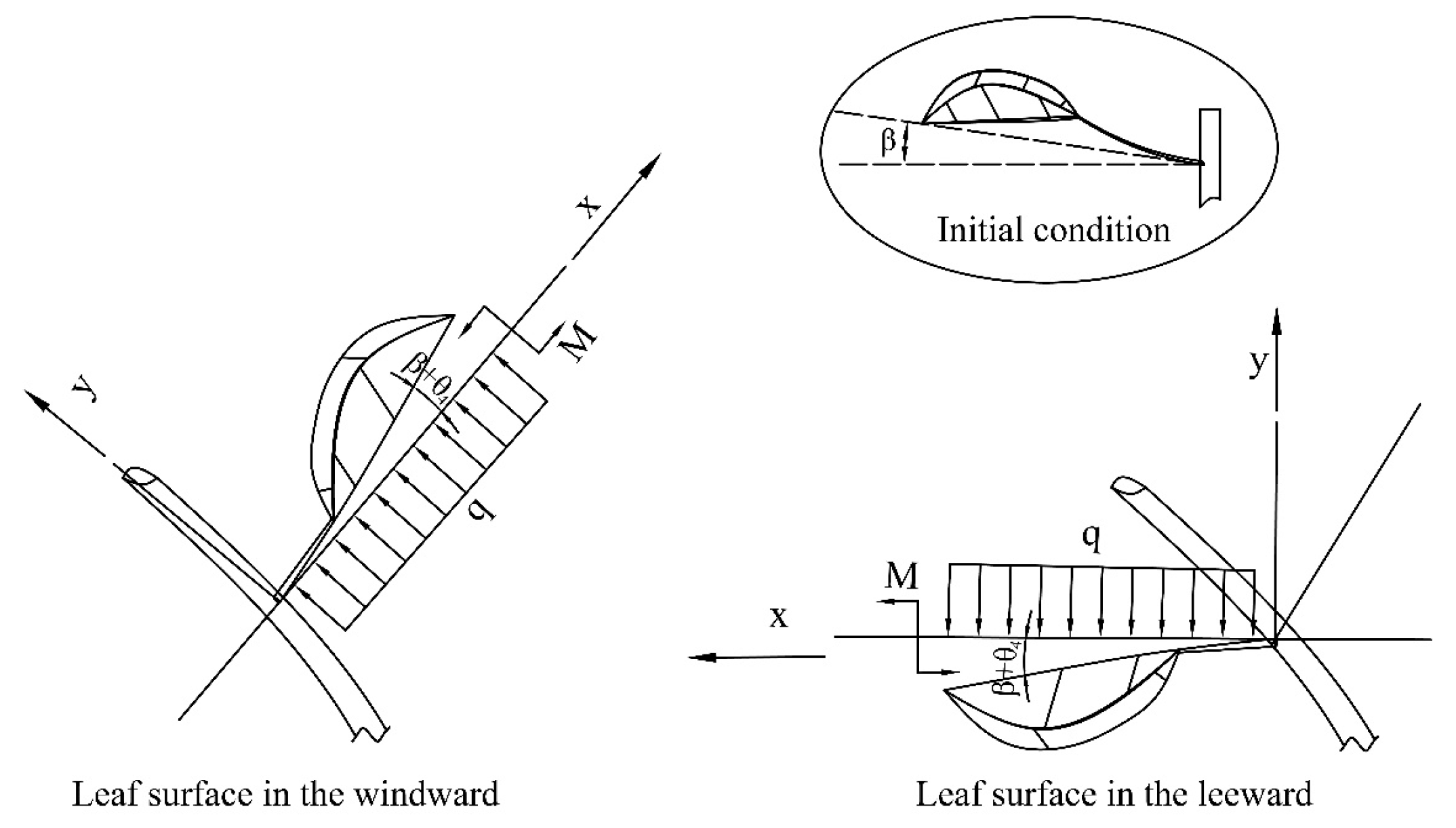 Agronomy 15 00141 g005