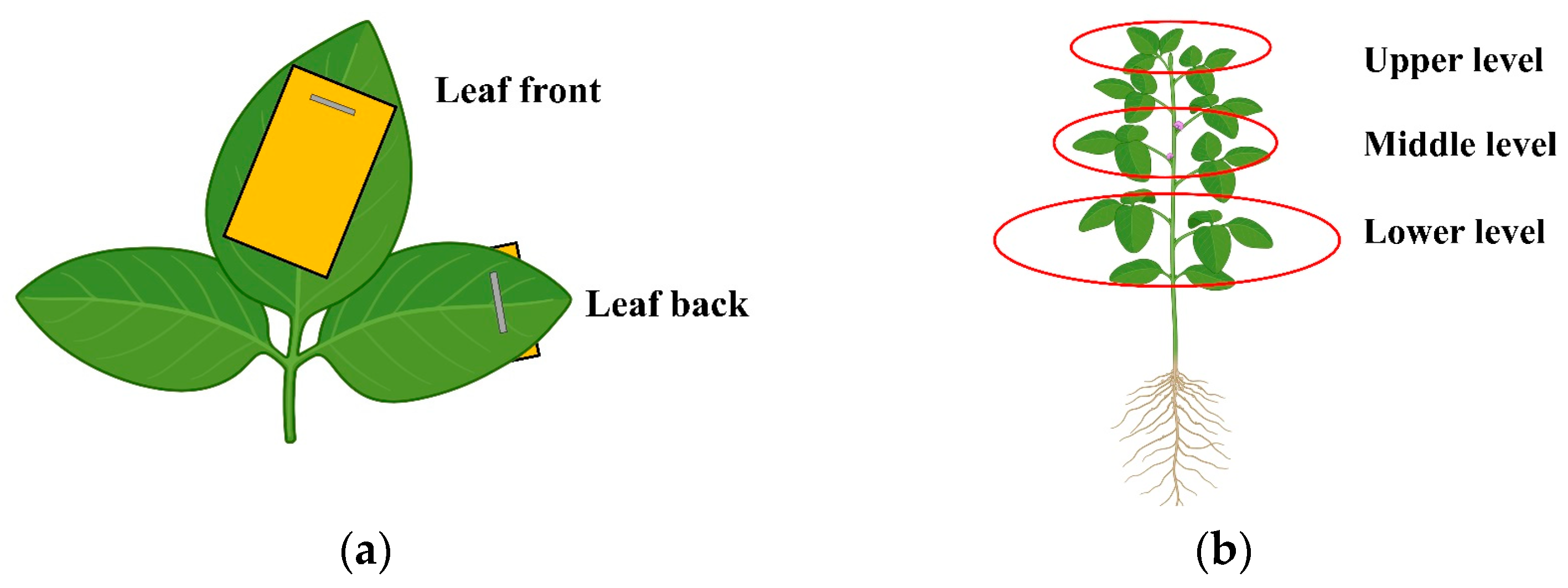 Agronomy 15 00141 g008