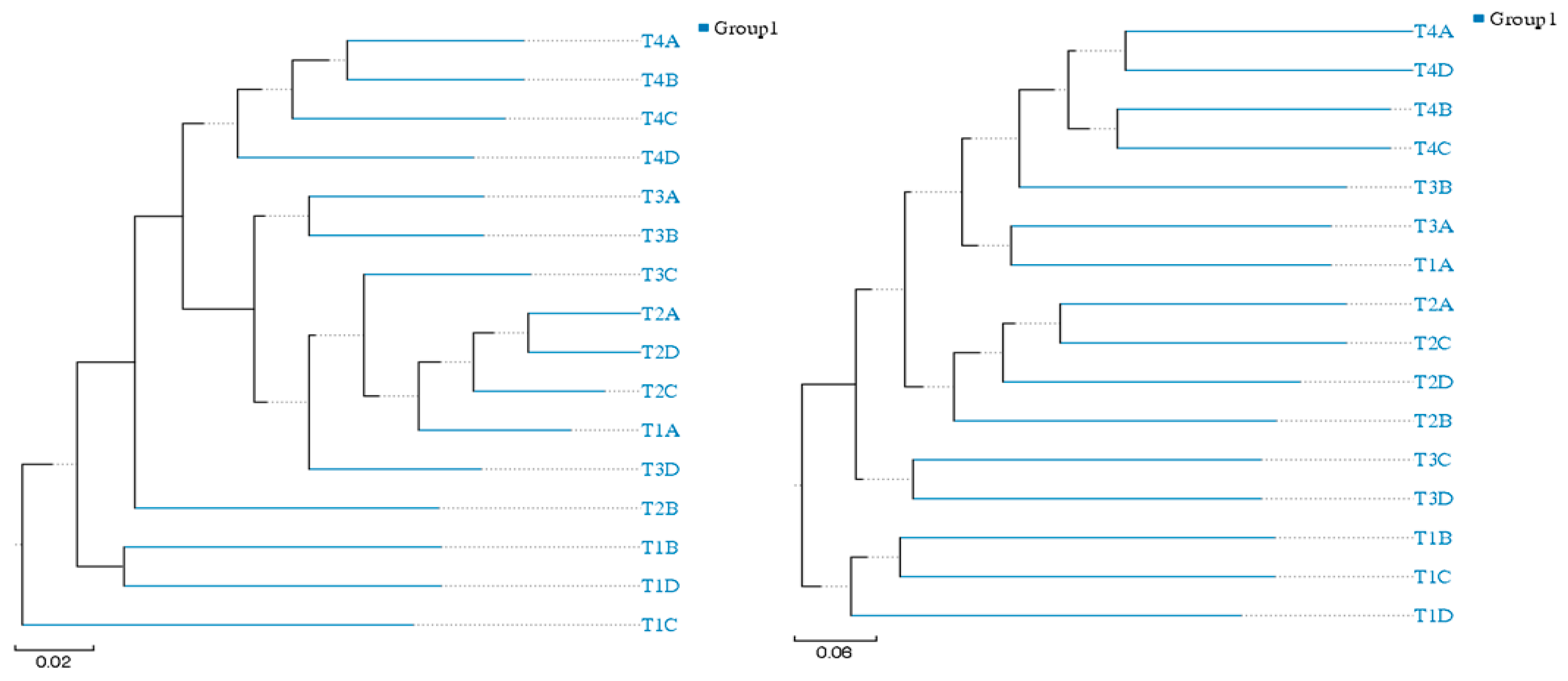 Agronomy 15 00146 g012