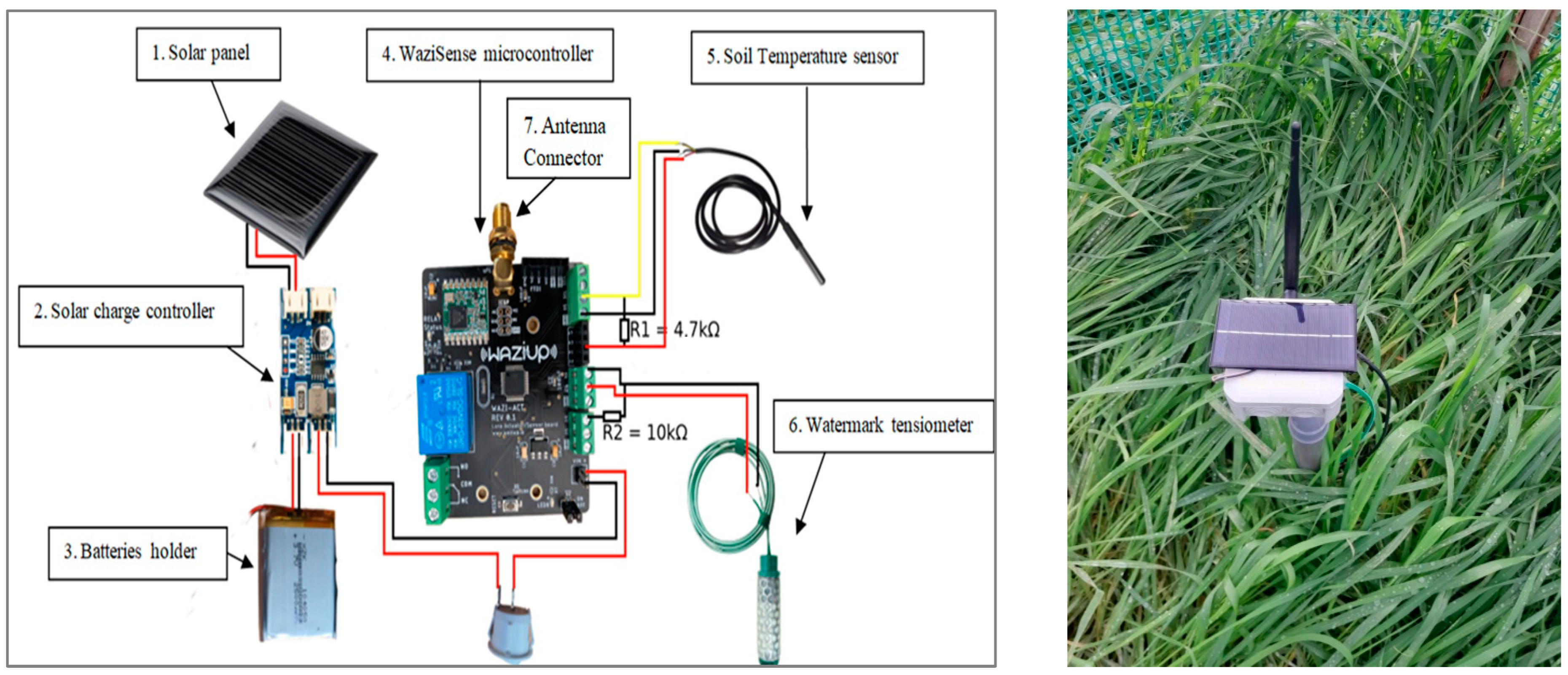 Agronomy 15 00157 g001