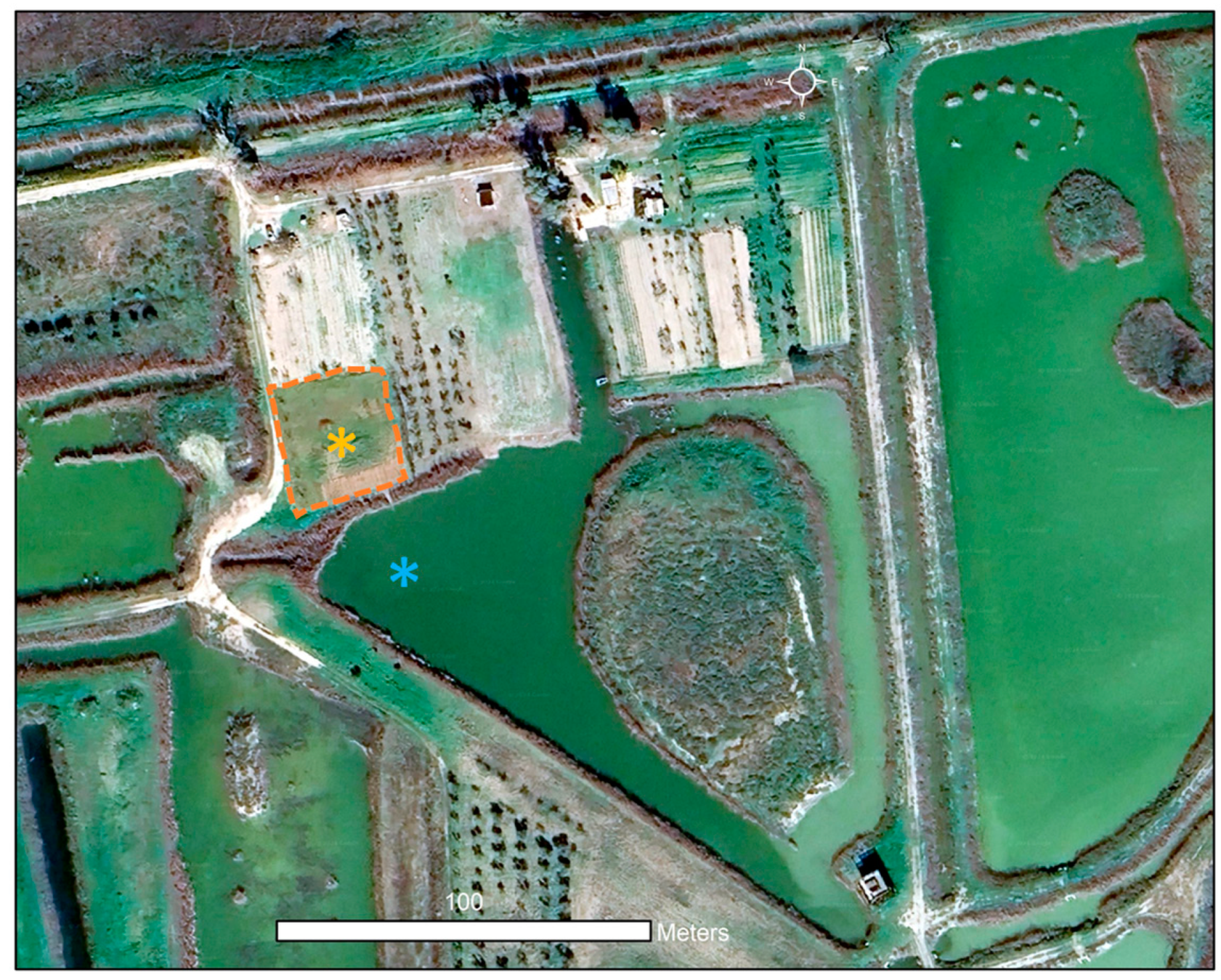 Agronomy 15 00158 g002