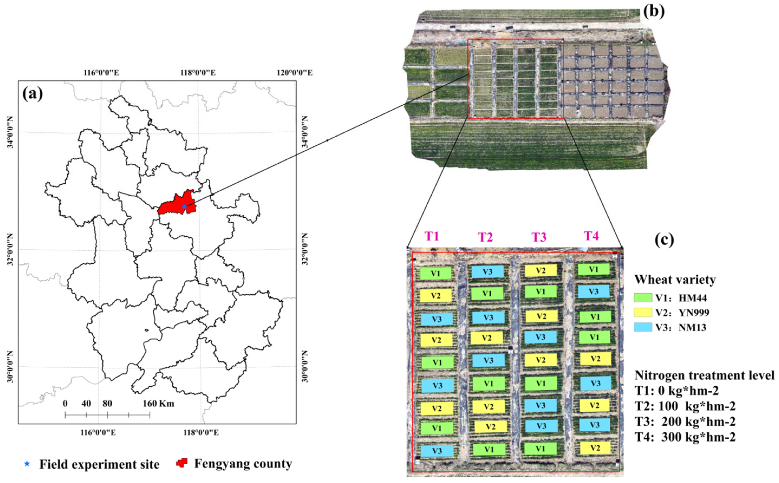 Agronomy 15 00159 g001