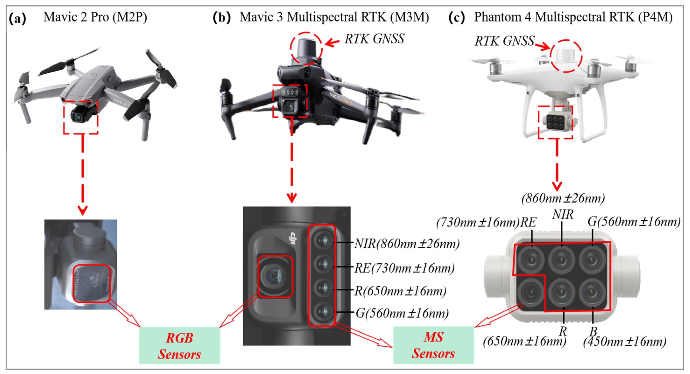 Agronomy 15 00159 g002