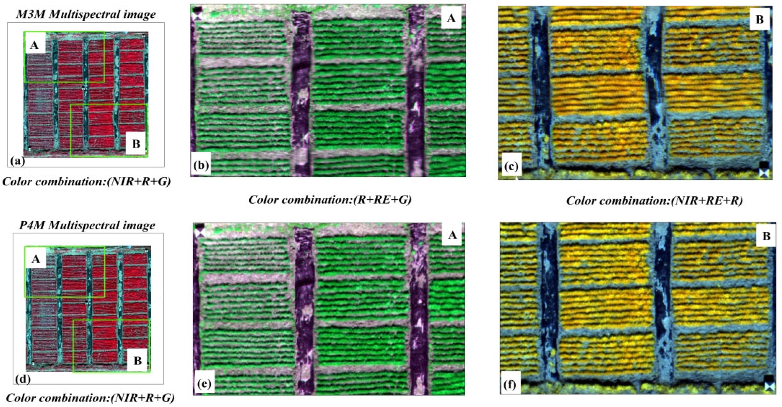Agronomy 15 00159 g007