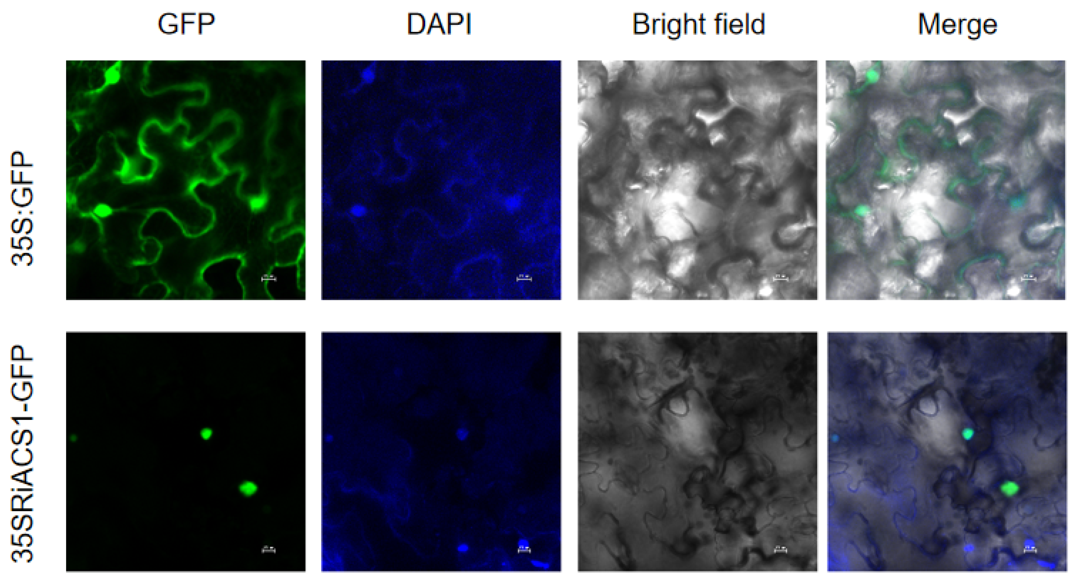 Agronomy 15 00164 g002