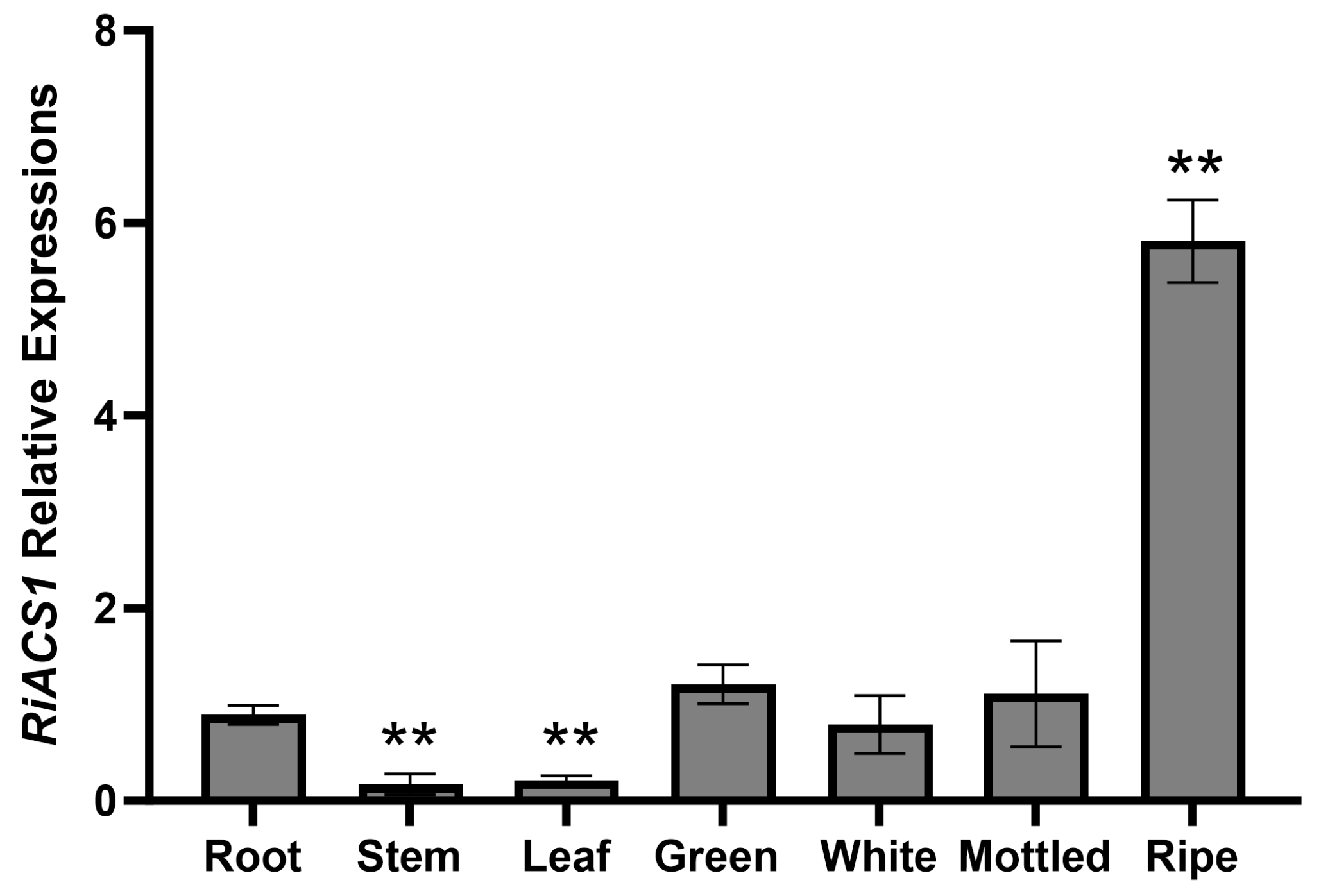 Agronomy 15 00164 g003