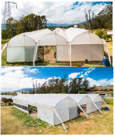 Agronomy 15 00166 i002