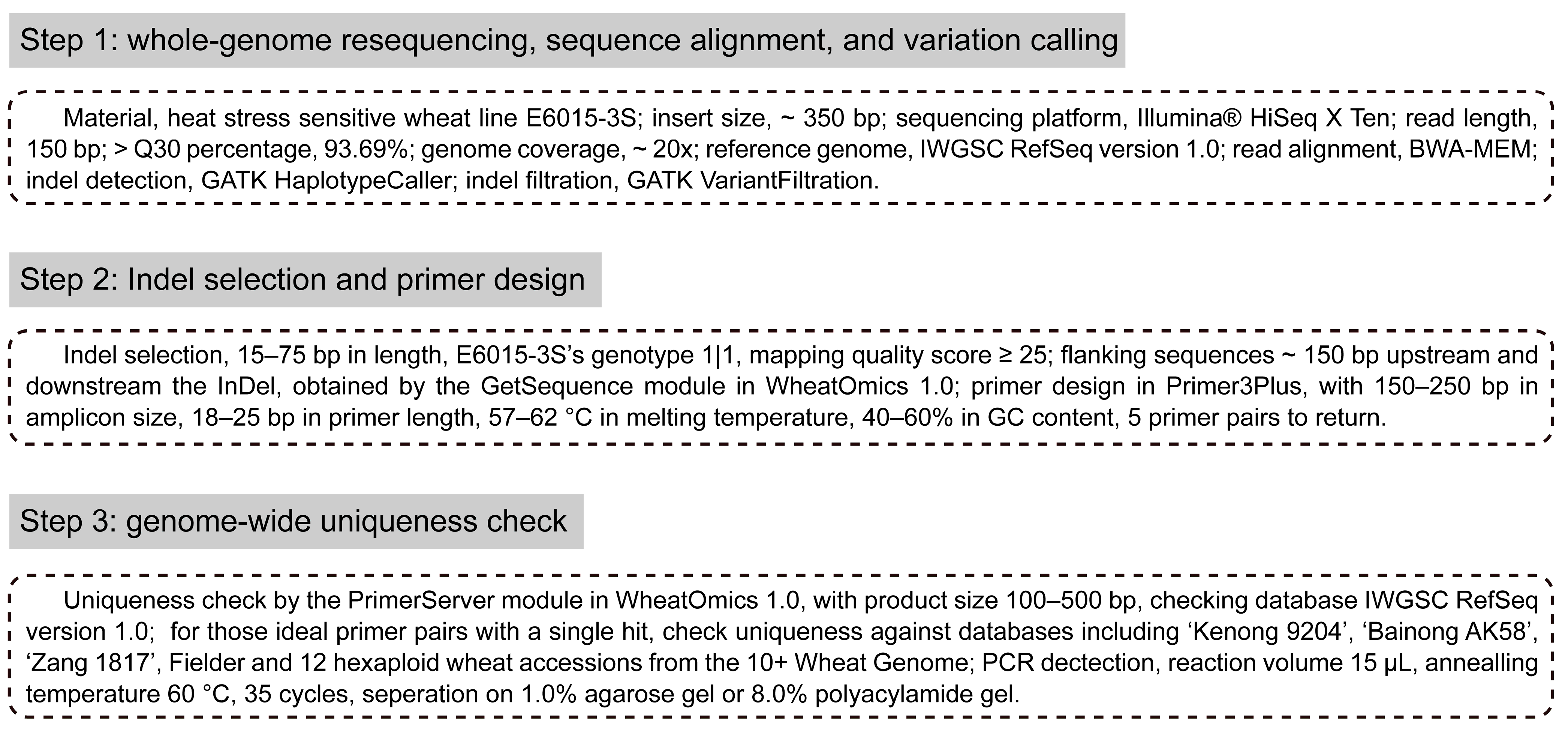 Agronomy 15 00169 g001