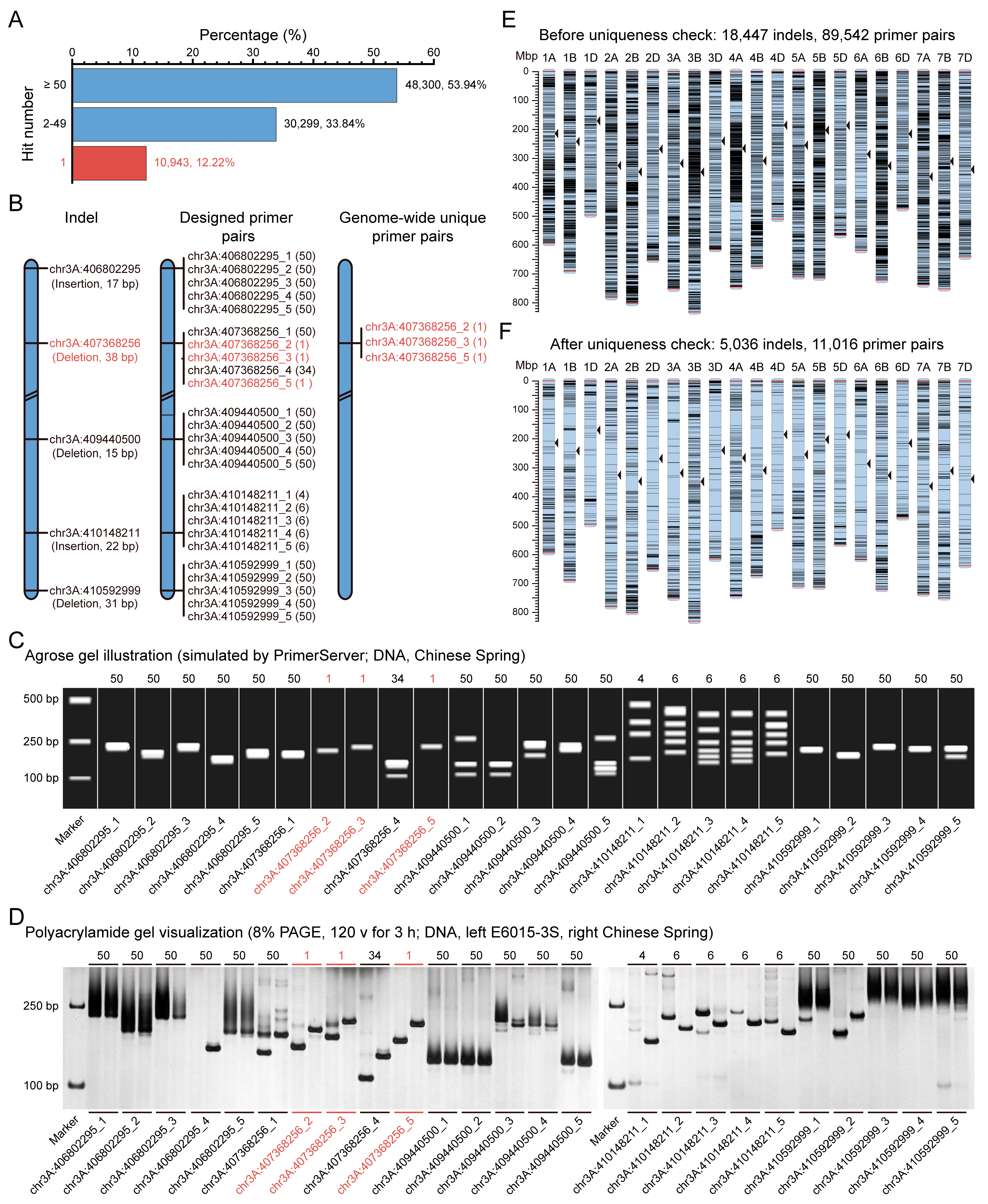 Agronomy 15 00169 g002