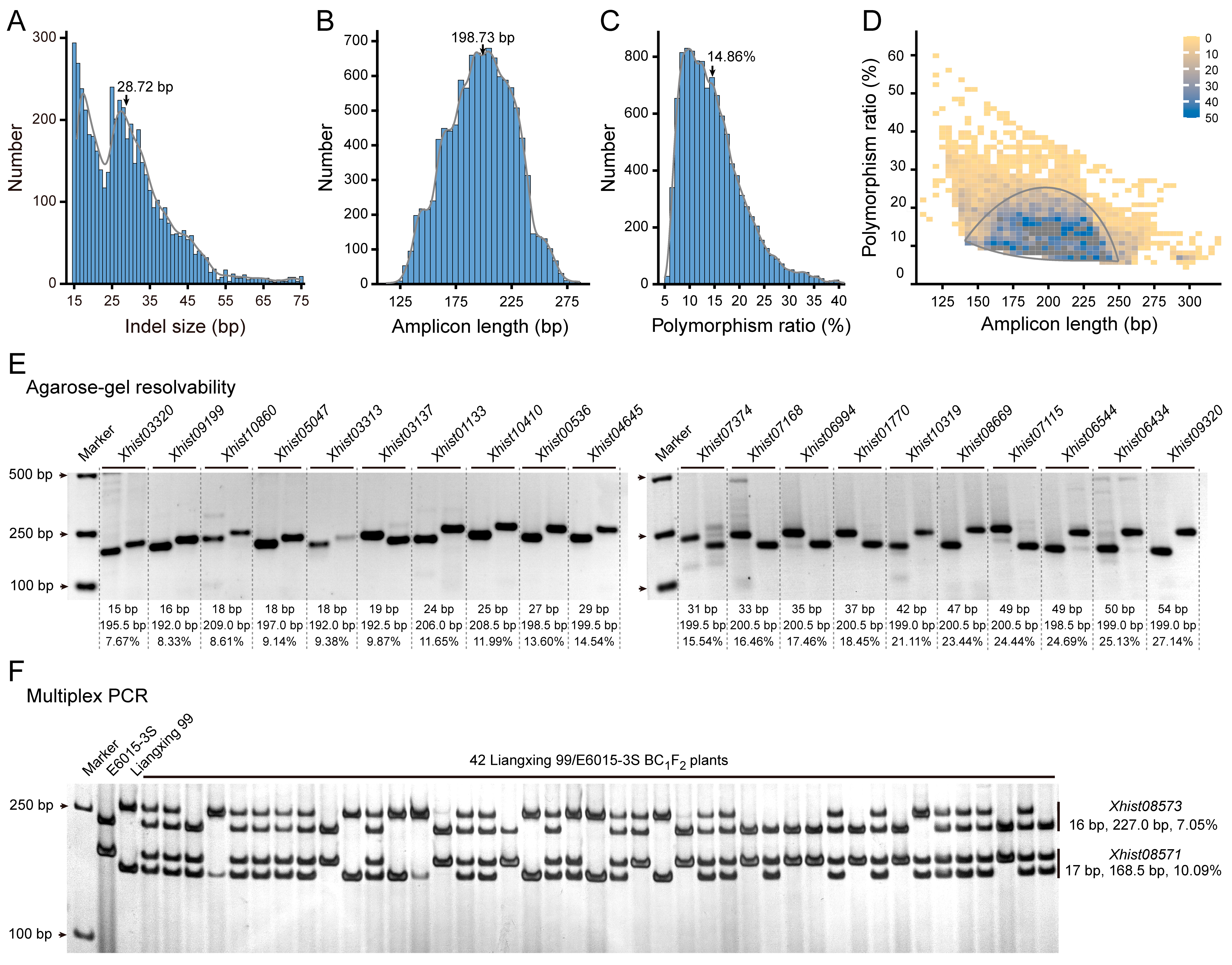 Agronomy 15 00169 g005