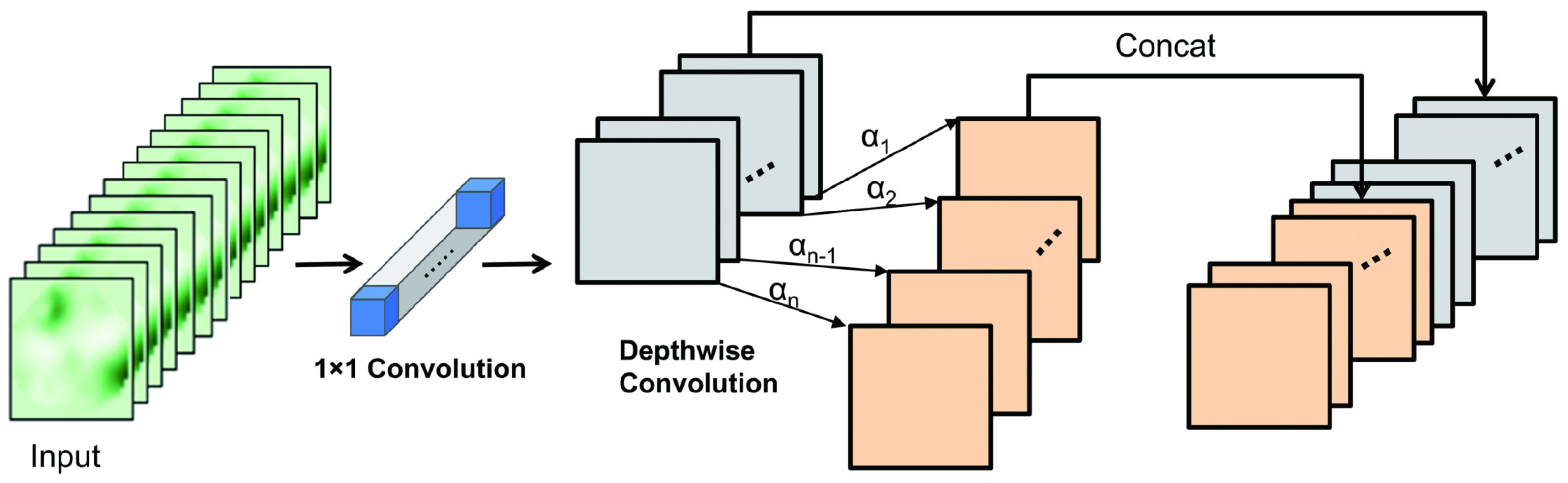 Agronomy 15 00174 g006