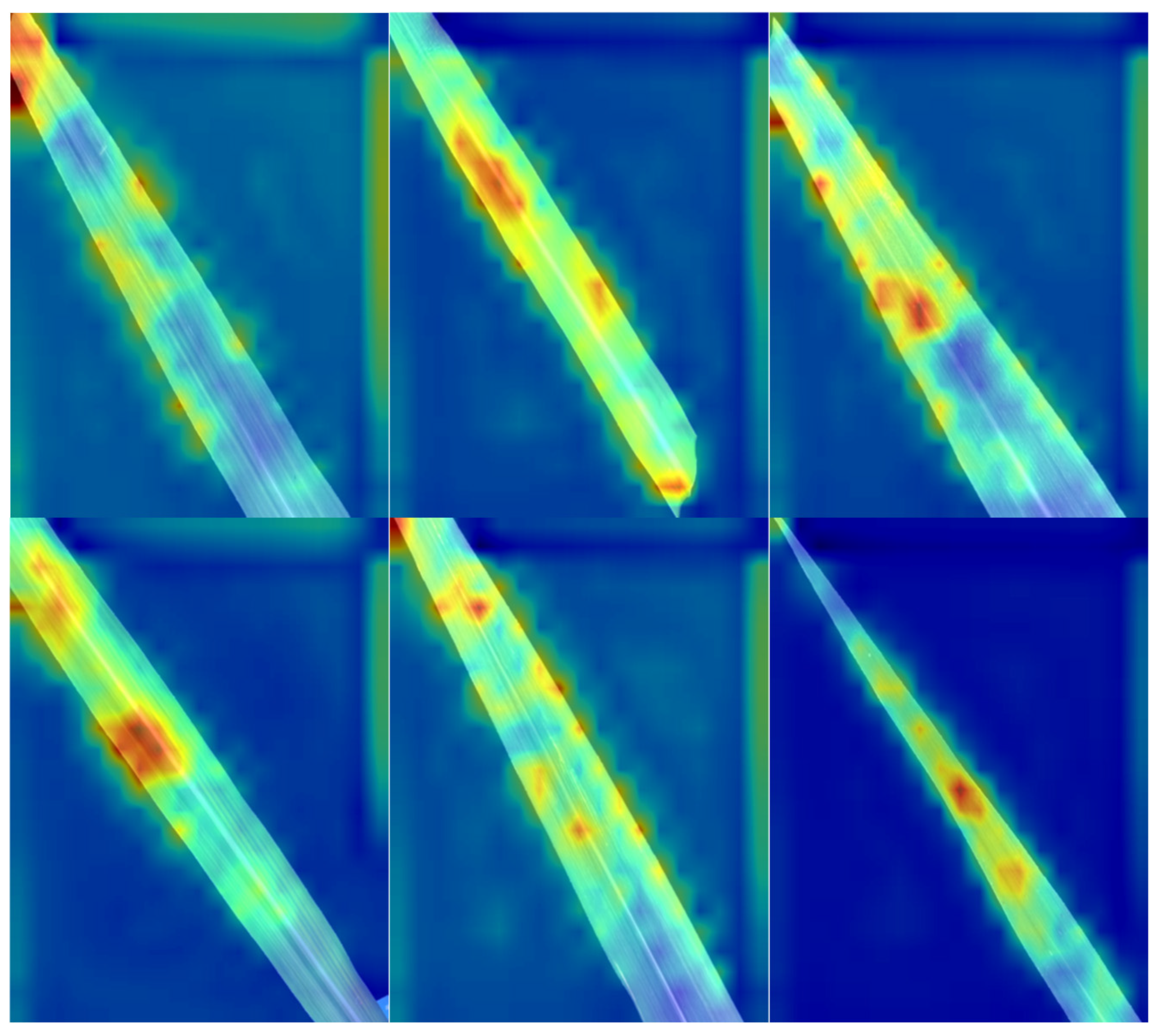 Agronomy 15 00175 g008