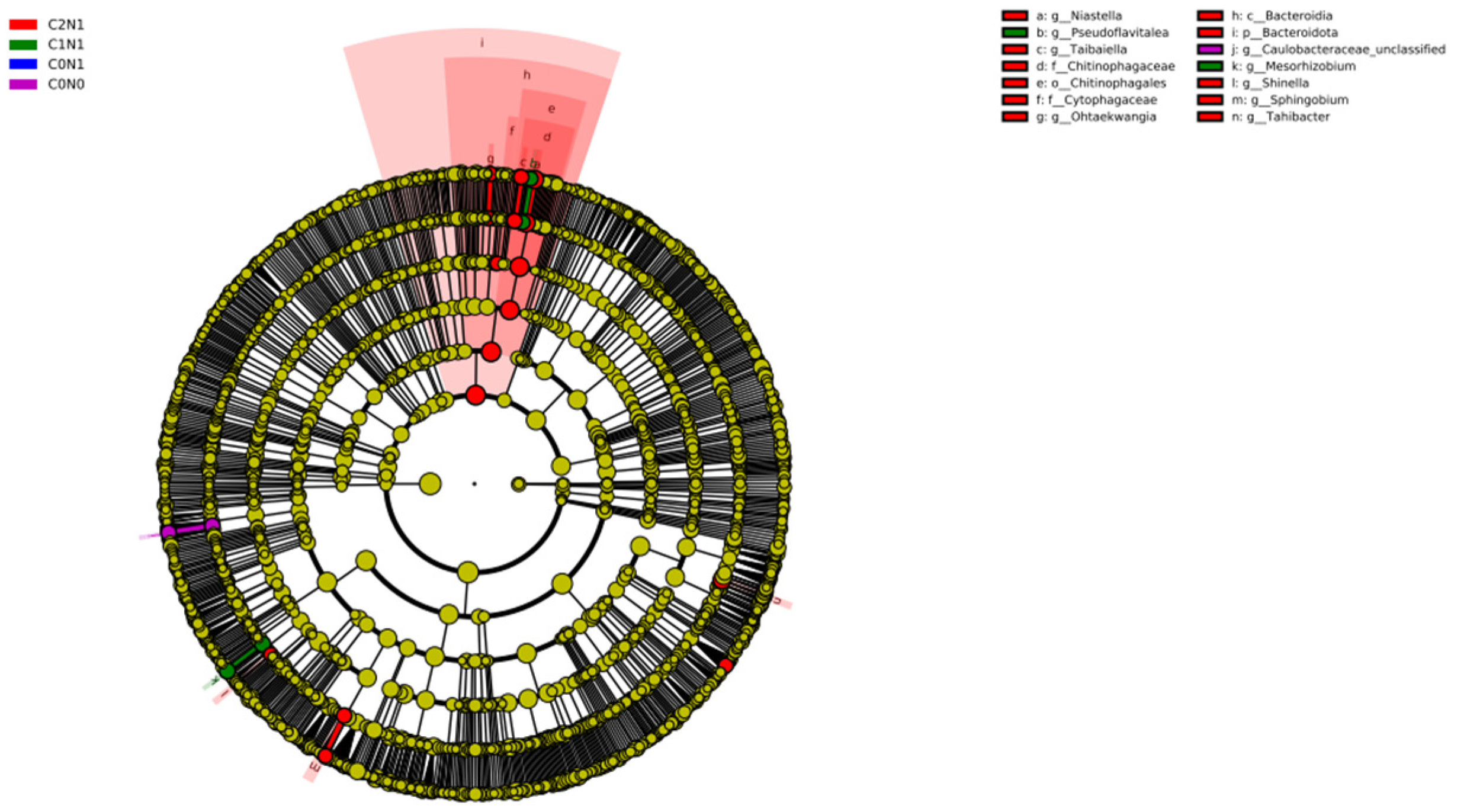 Agronomy 15 00177 g004