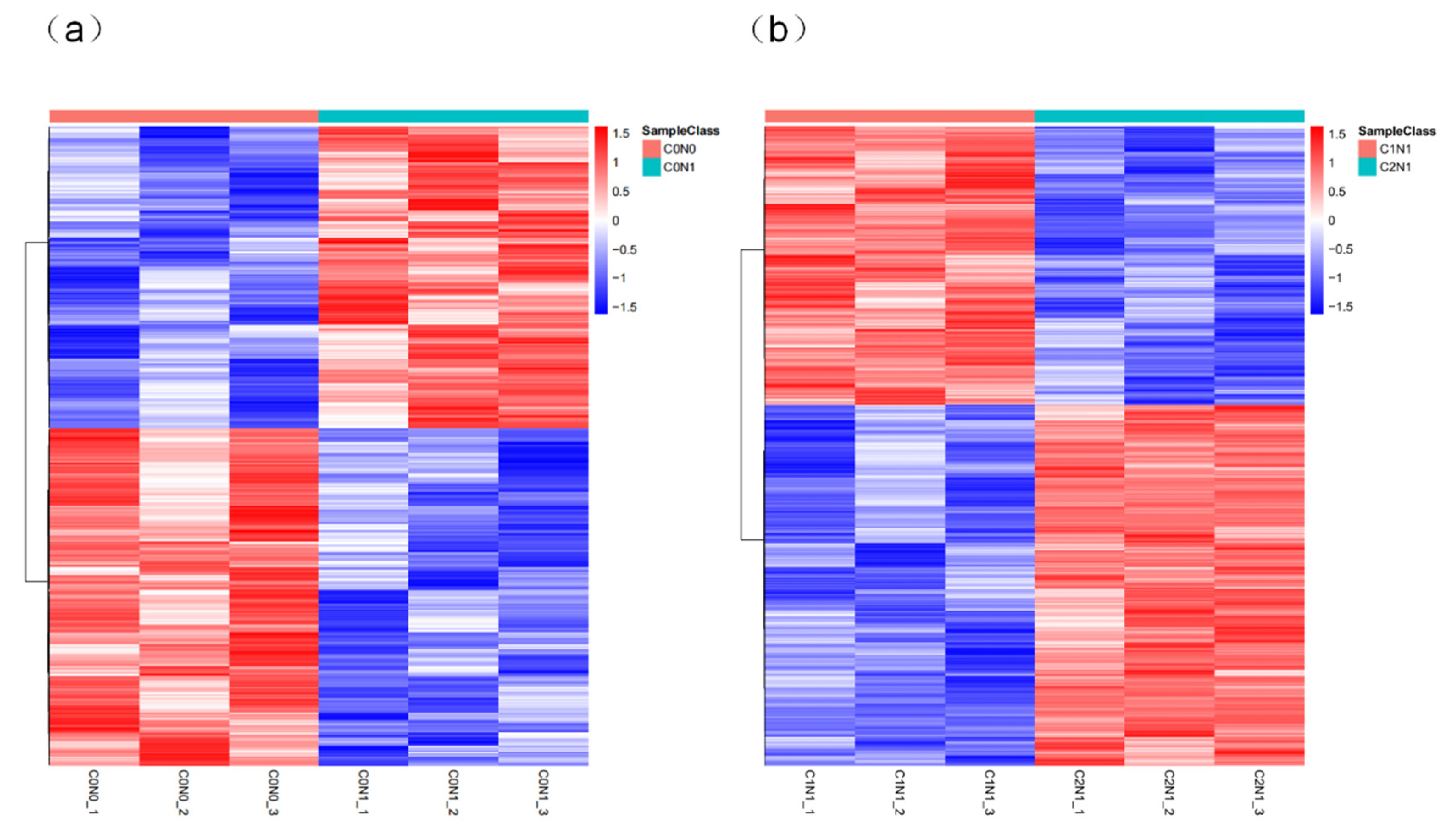 Agronomy 15 00177 g006