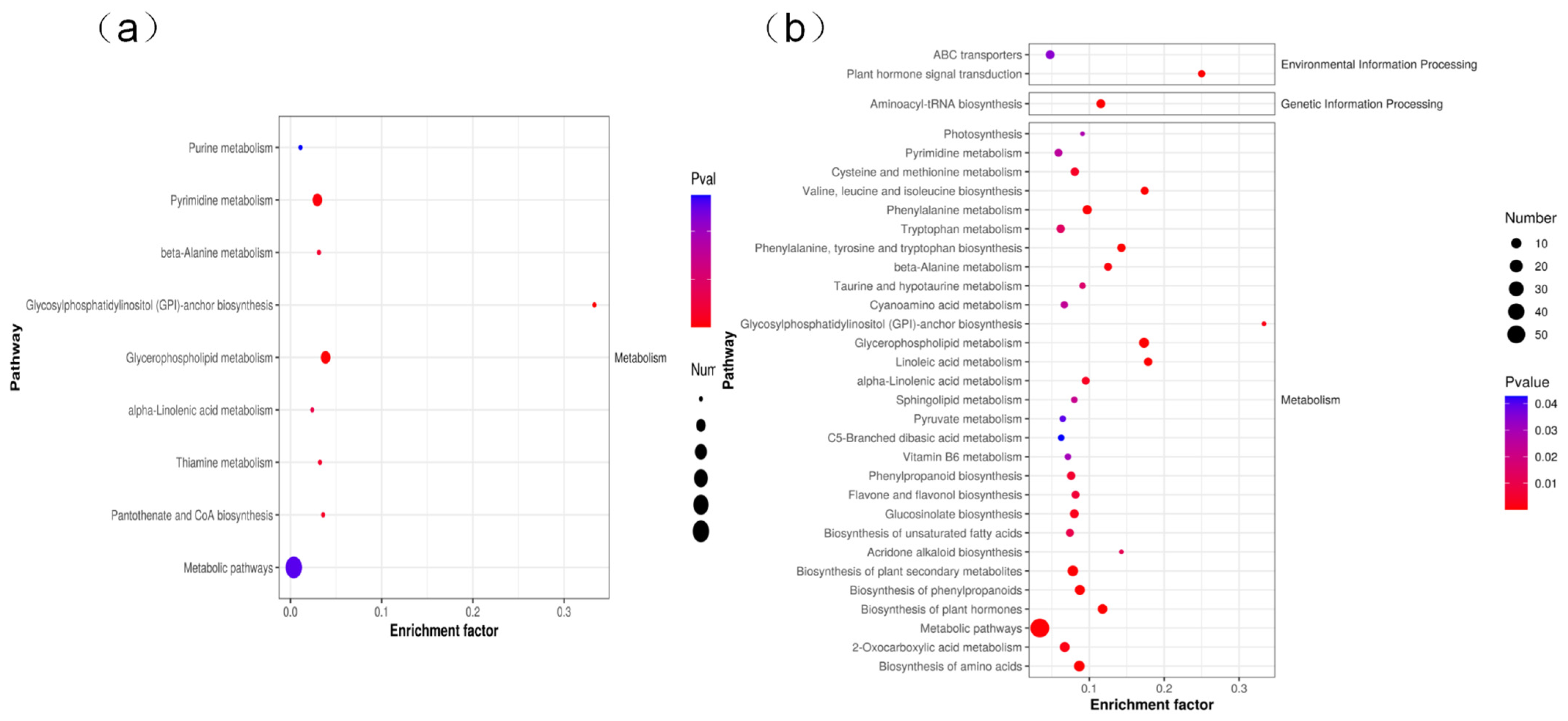 Agronomy 15 00177 g007