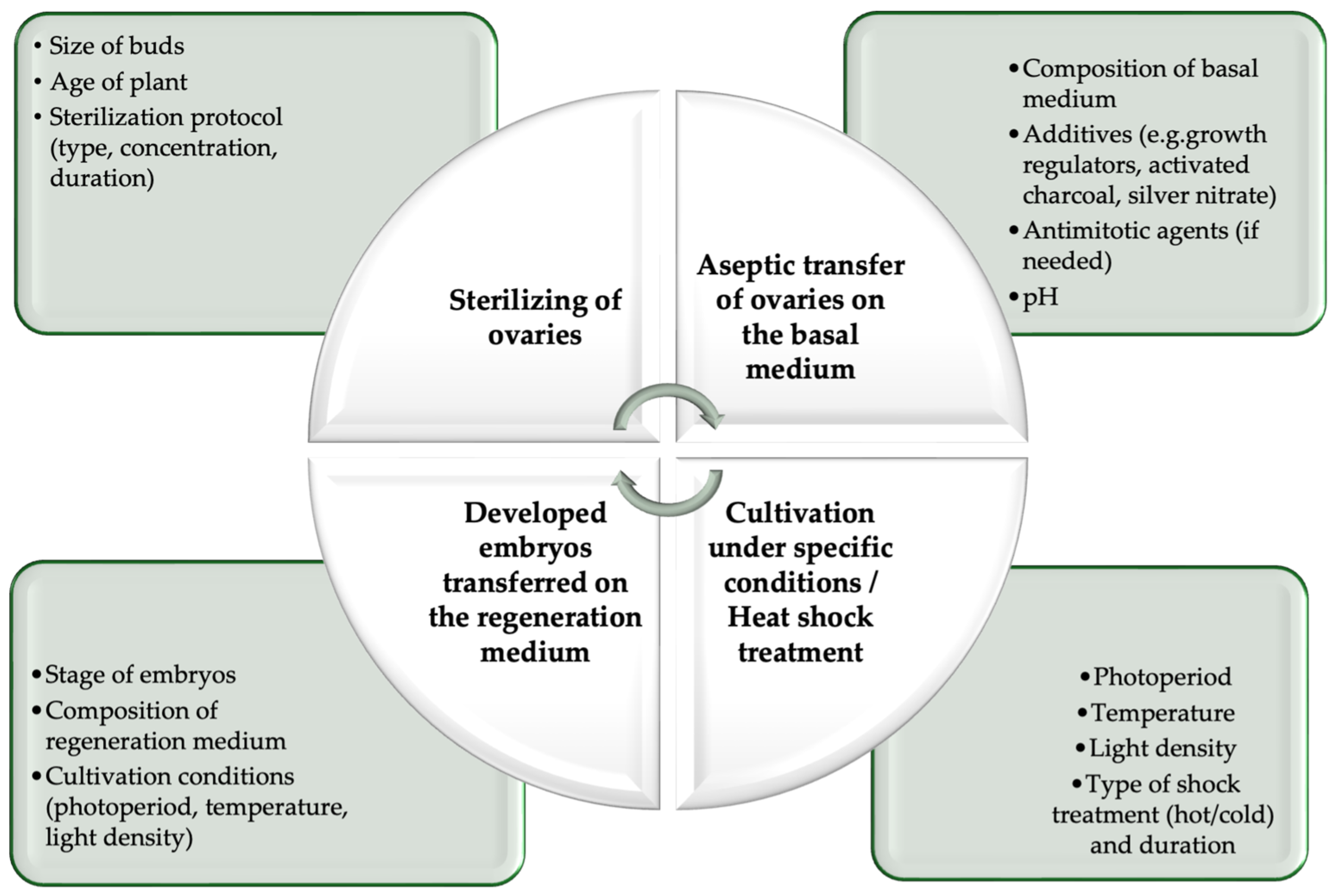 Agronomy 15 00179 g001